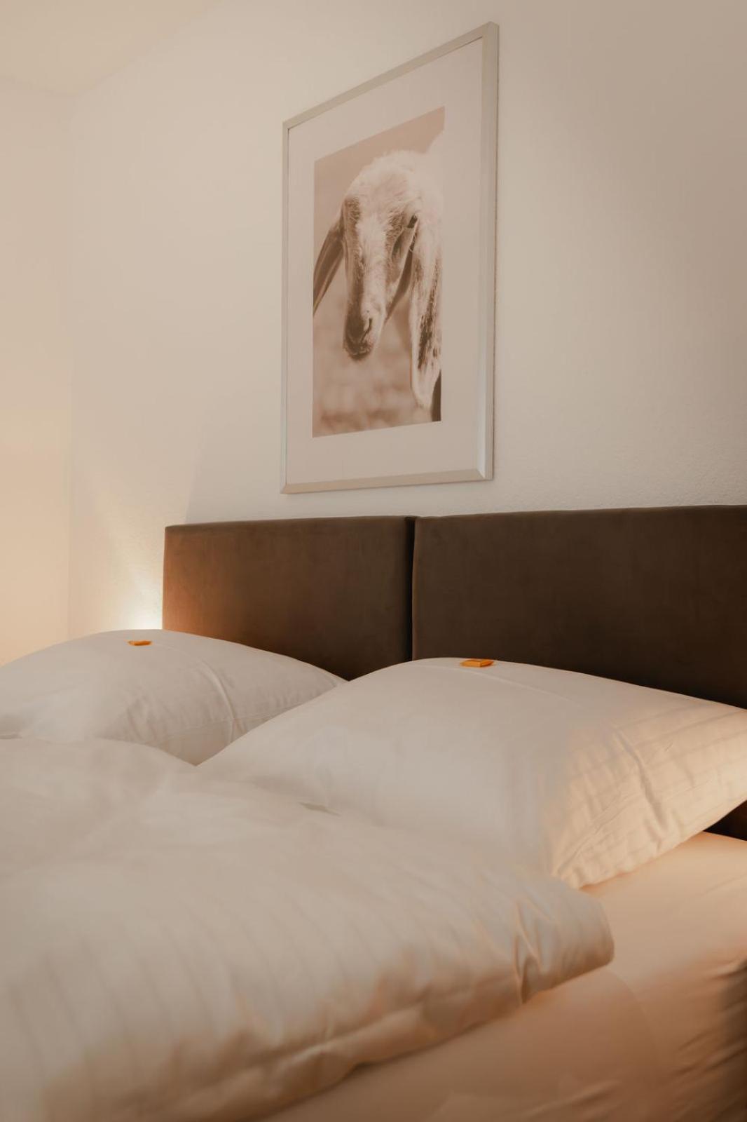Junior Suite photo 2