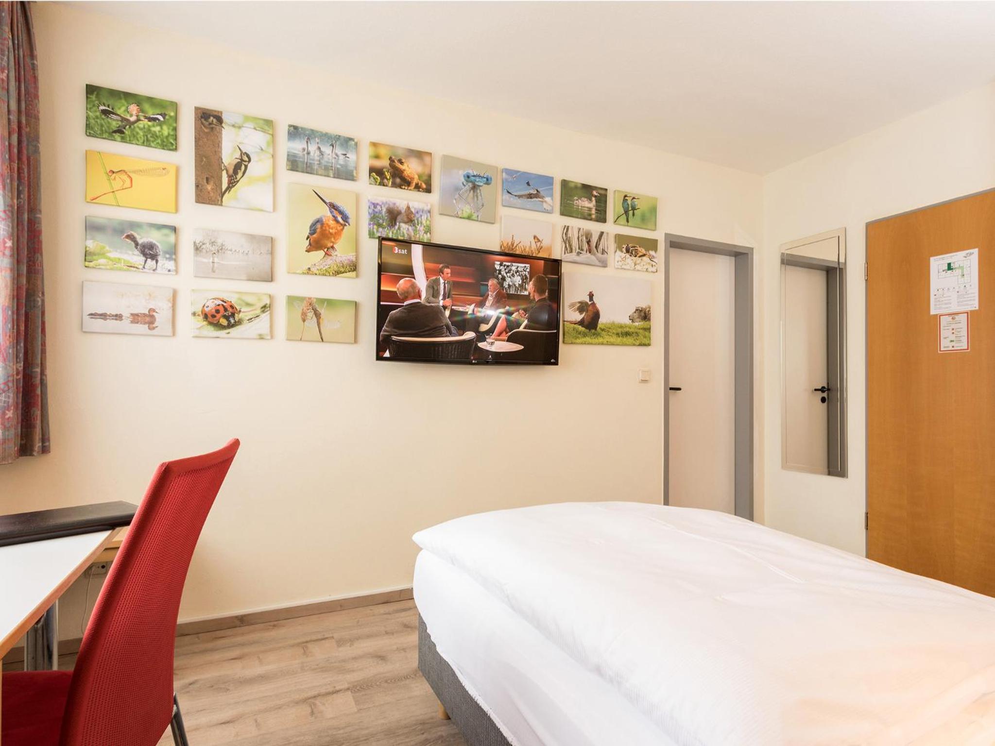 Single Room