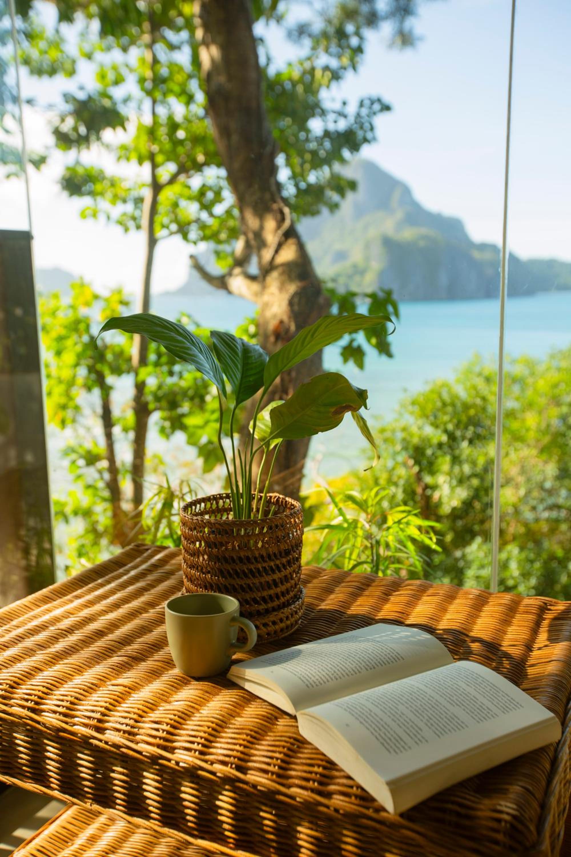Deluxe Suite with Sea View