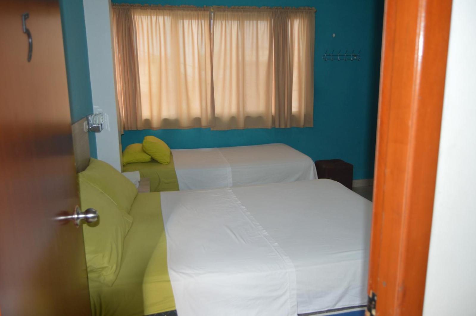 Twin Room photo 2