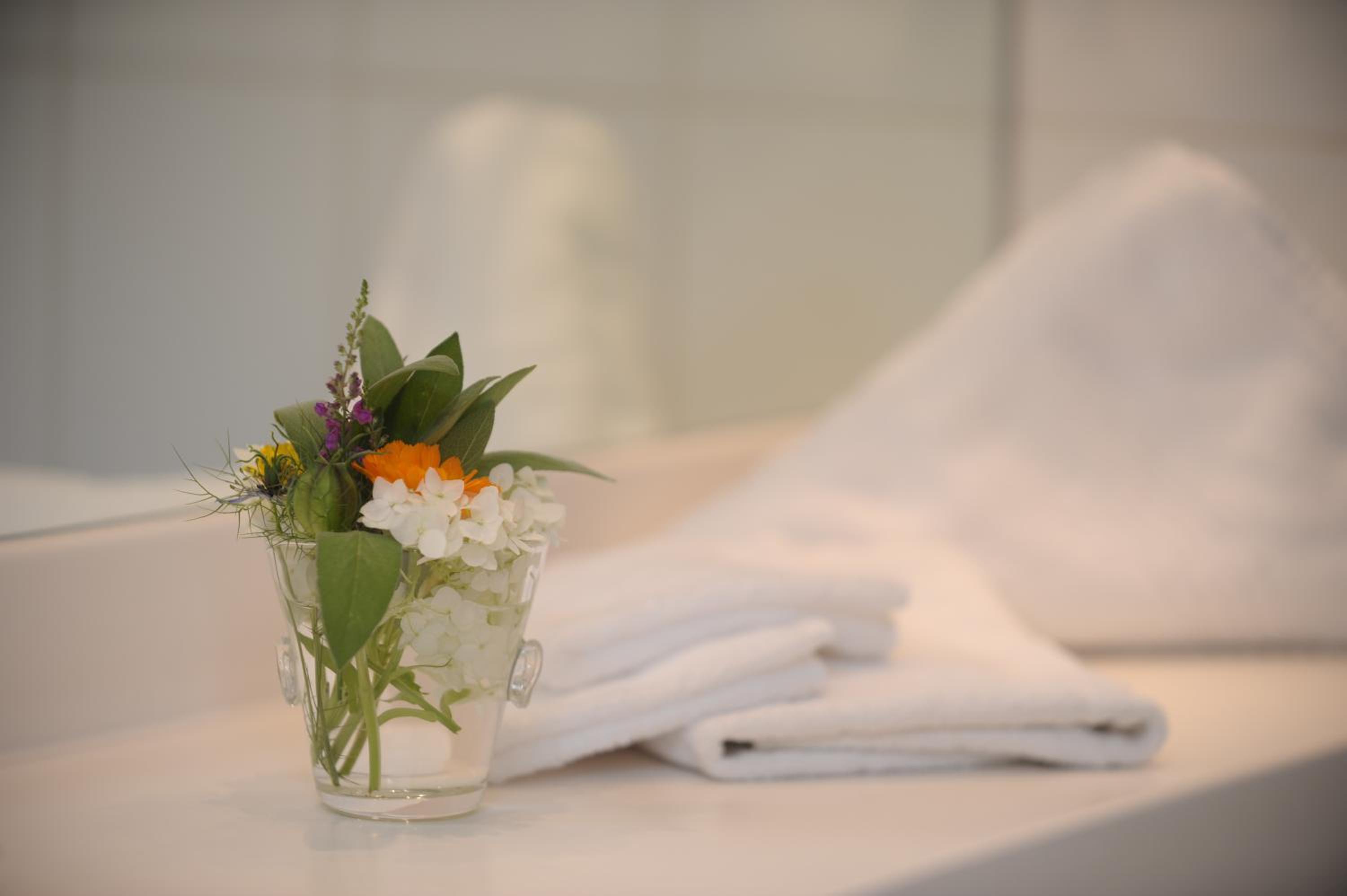 Suite - Photo 2