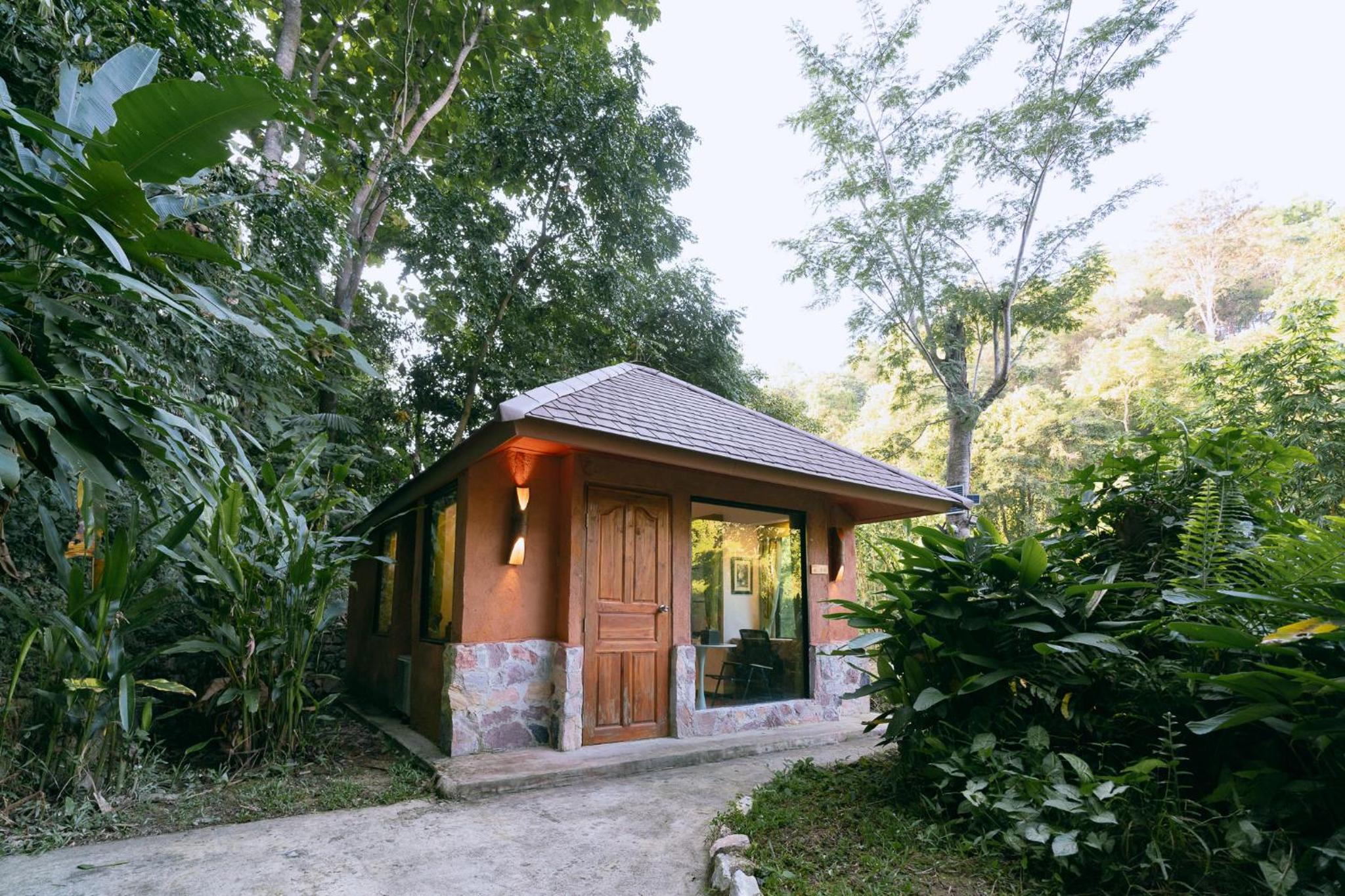 Forest  Room  photo 1
