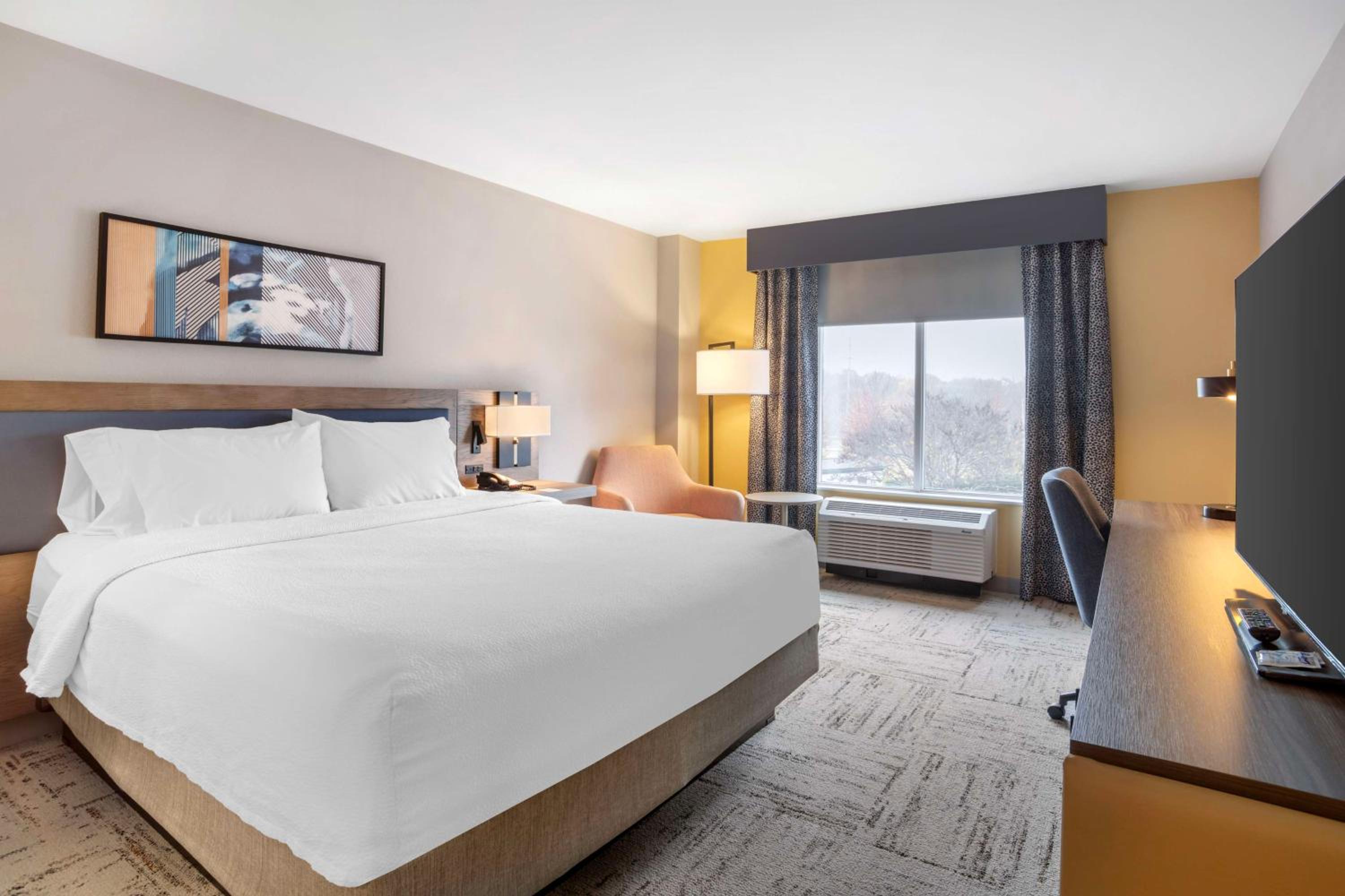 King Room - Photo 1