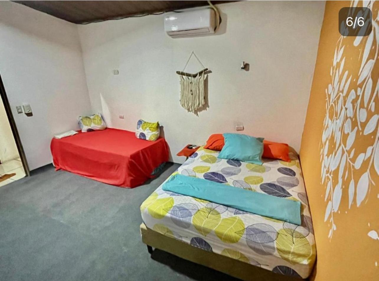 Bed in 4-Bed Dormitory Room photo 1