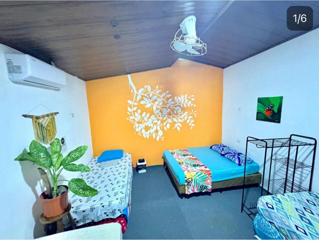 Bed in 4-Bed Dormitory Room photo 3