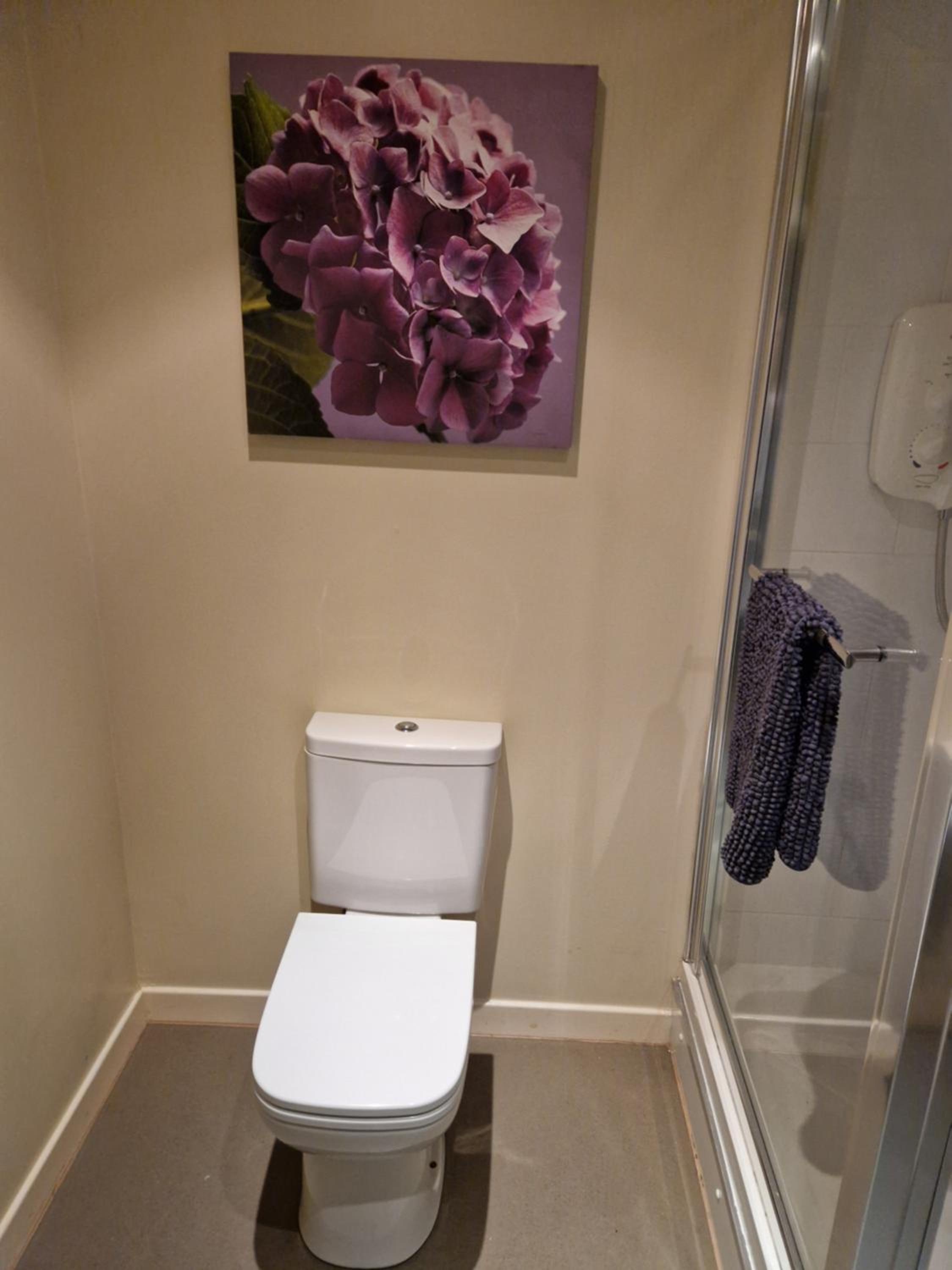 King Room photo 2