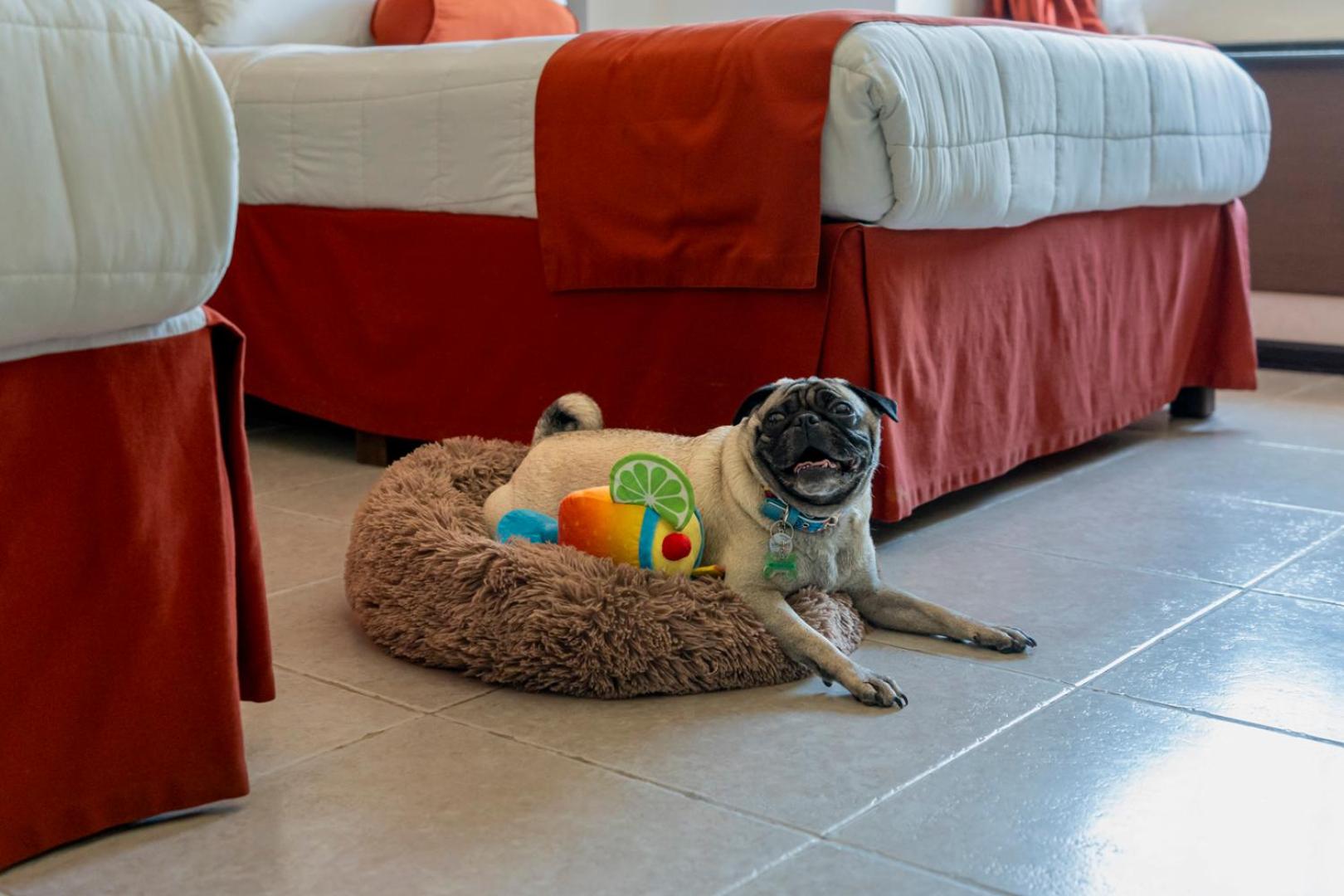 Standard Twin Room - Dog Friendly photo 1