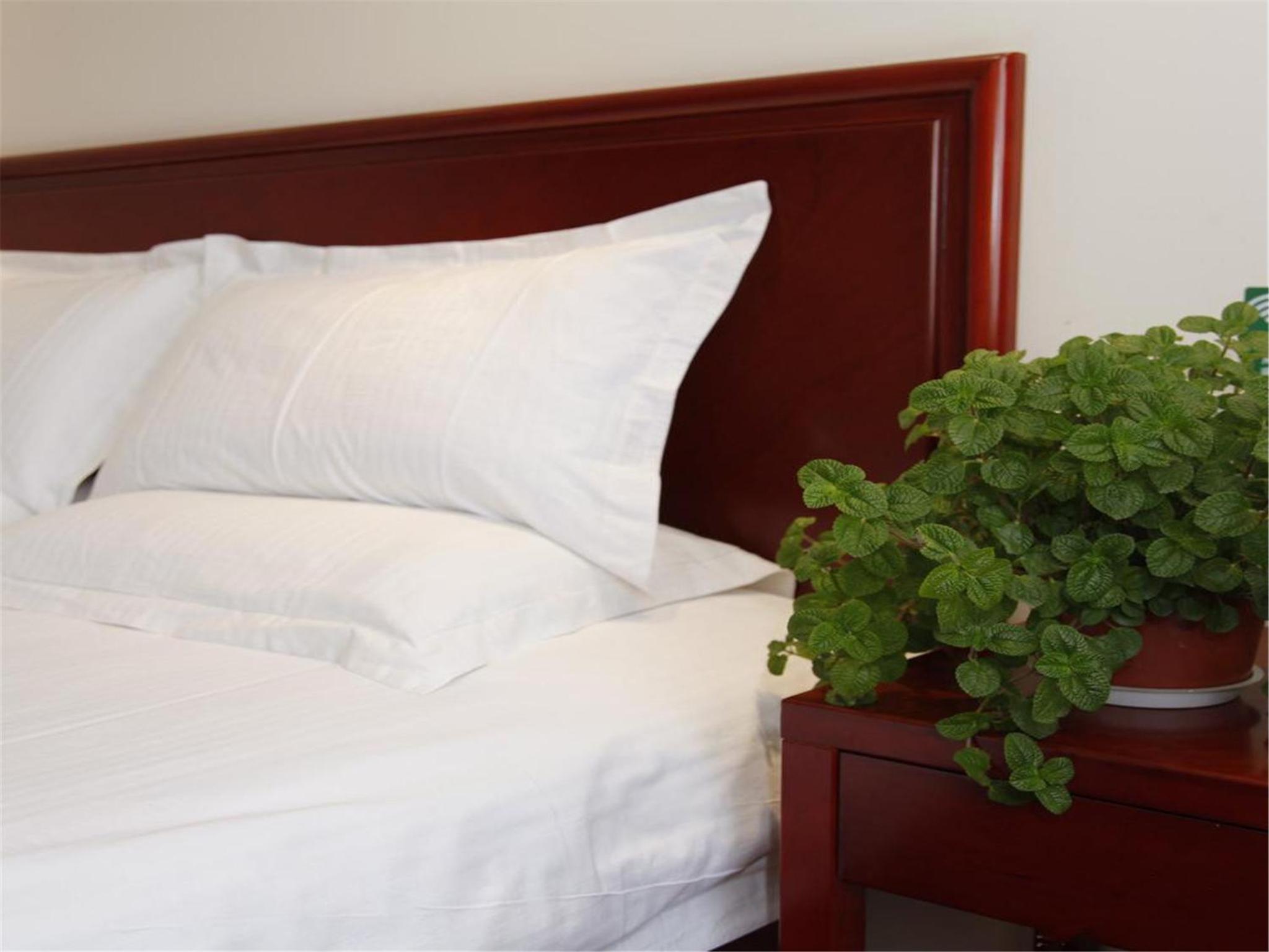 Mainland Chinese Citizens - Standard Twin Room photo 2