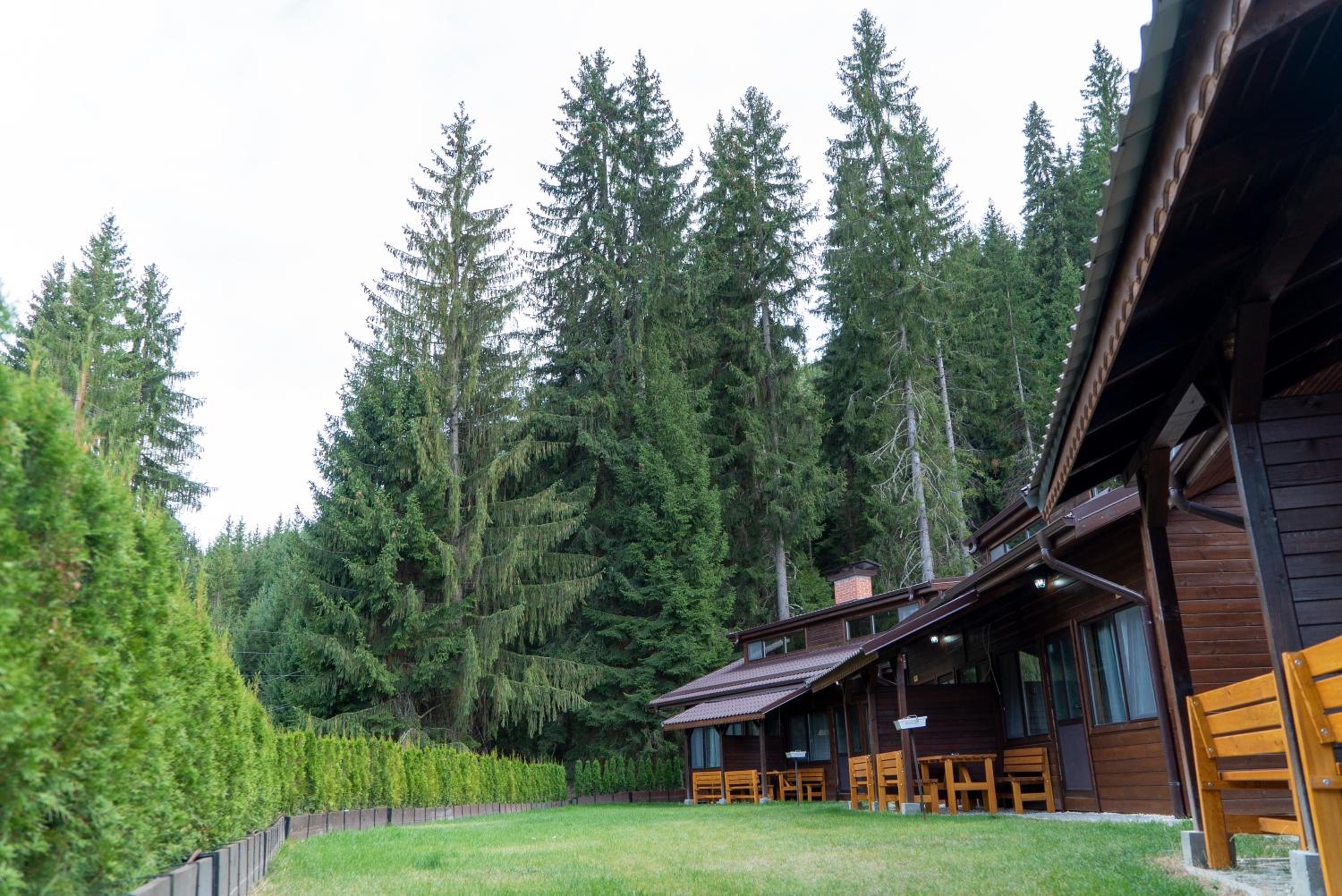 Vacation Home photo 3