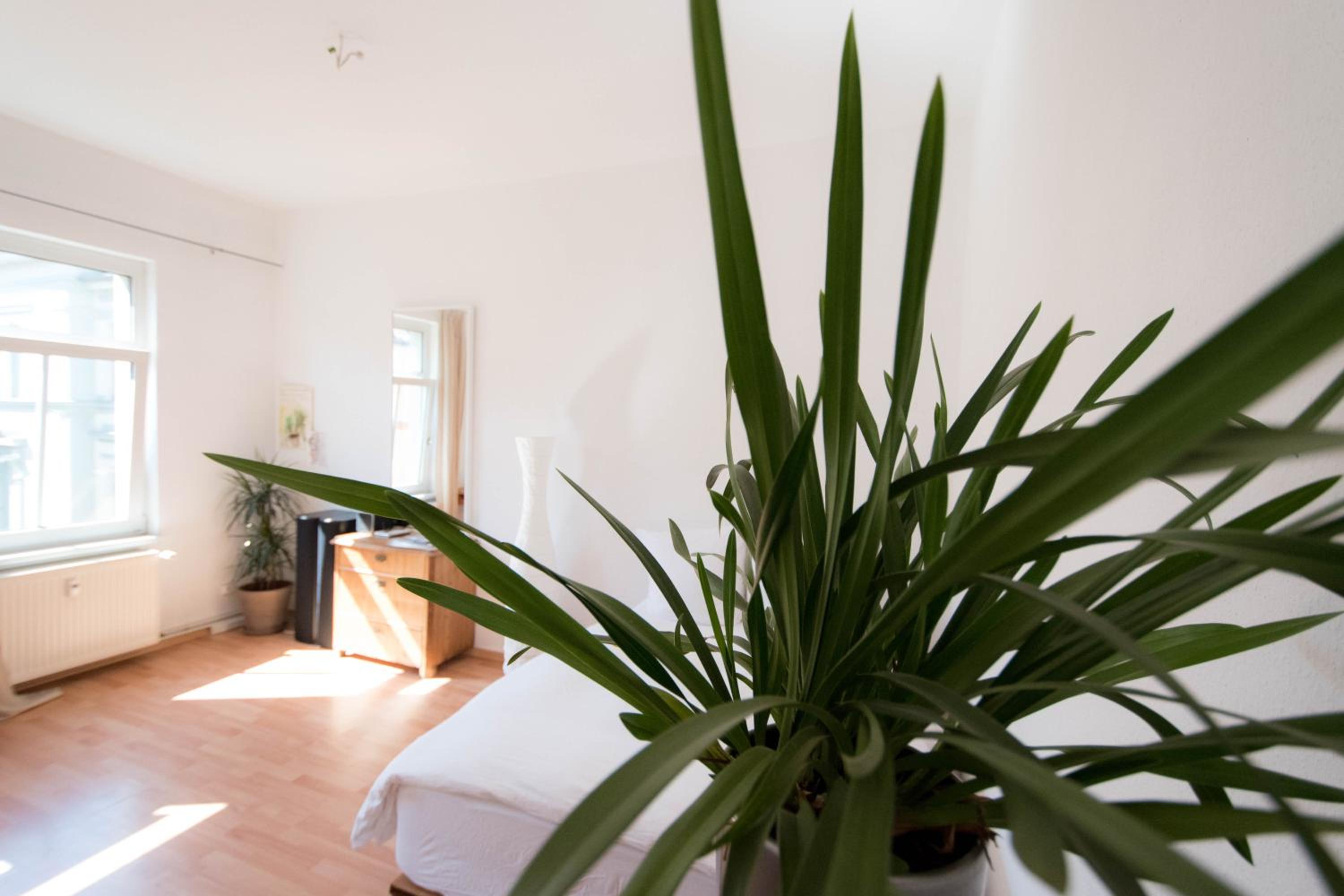 One-Bedroom Apartment - Photo 11