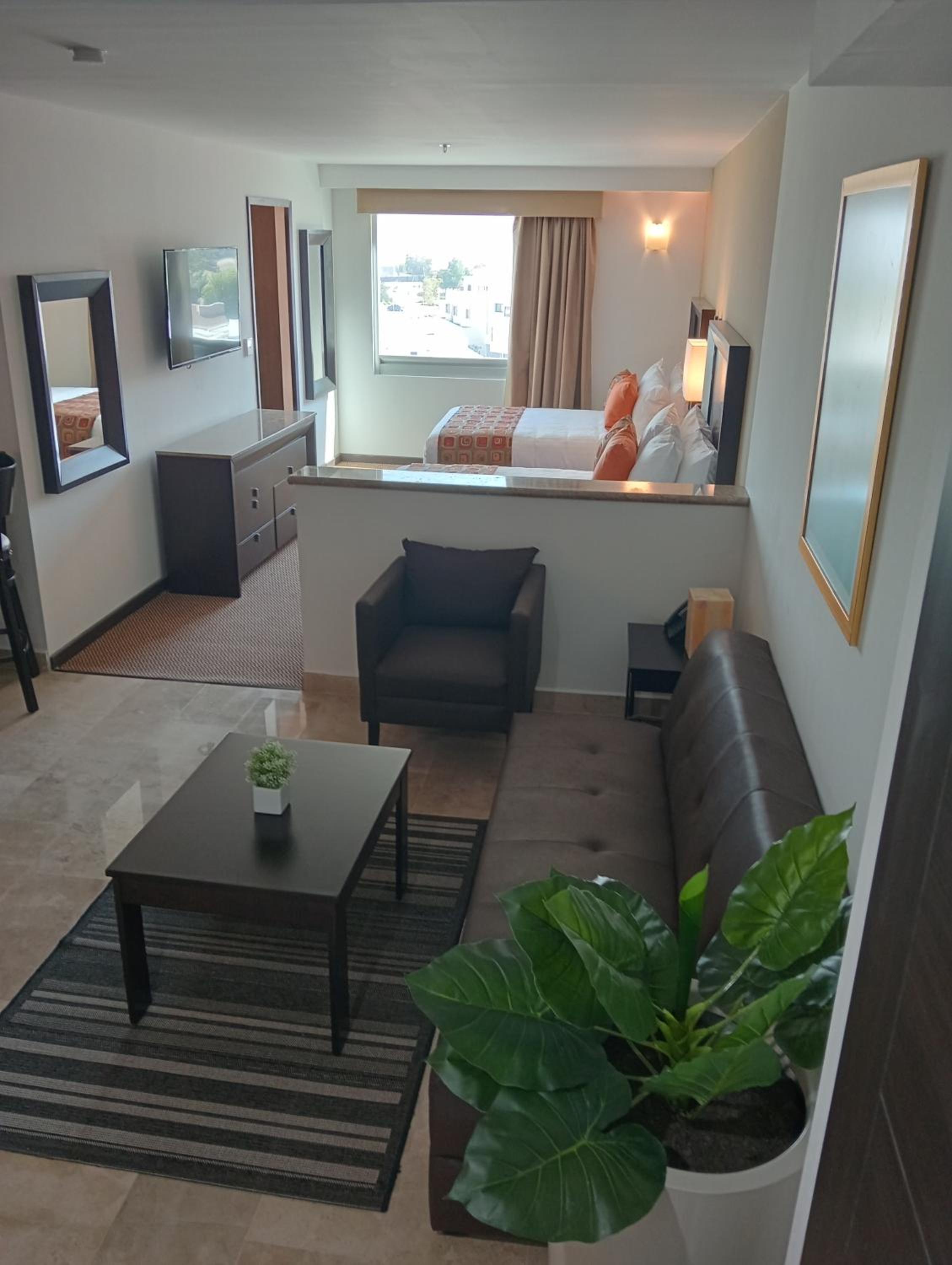 Executive Suite photo 1