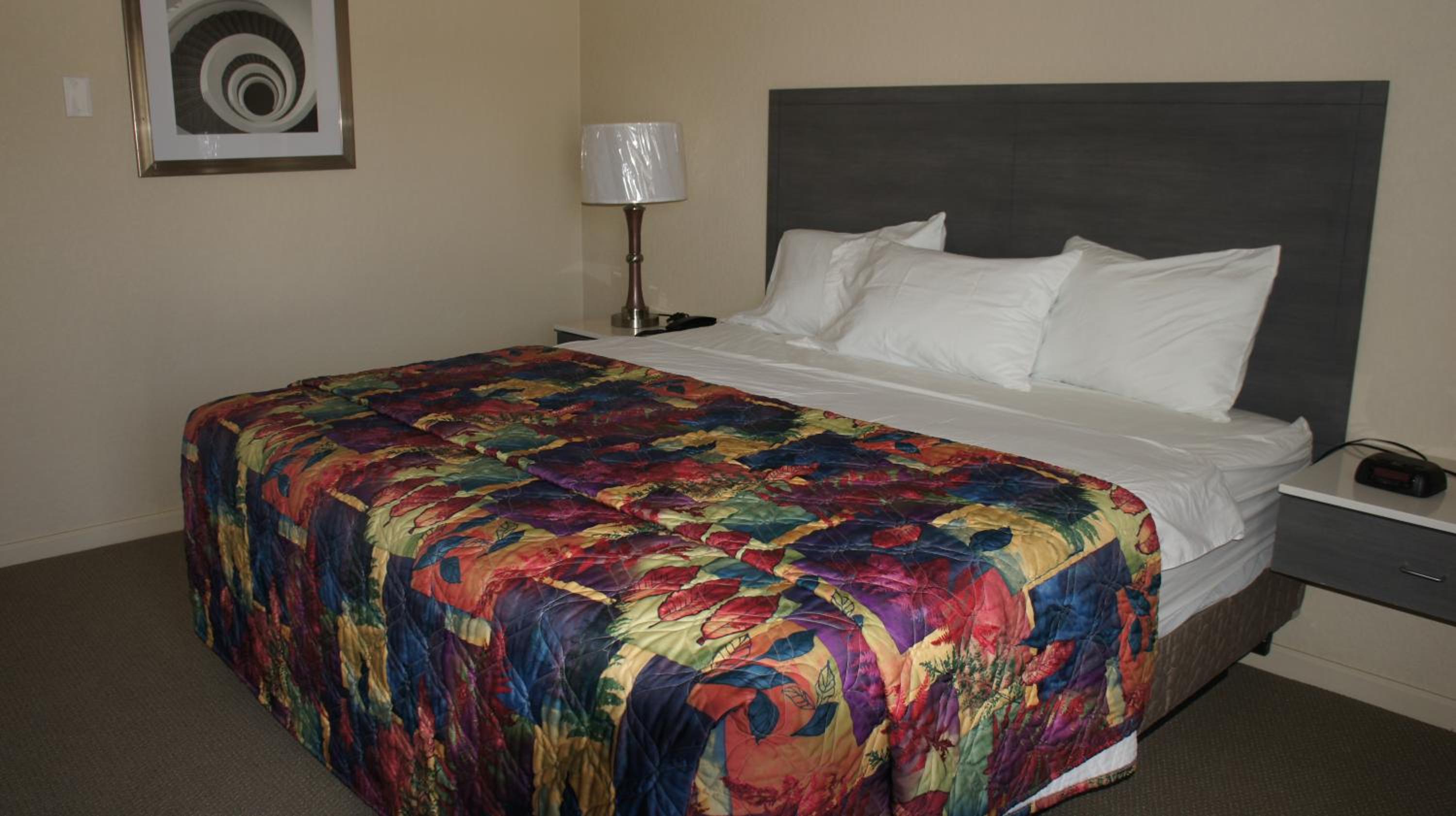 King Room - Disability Access photo 1