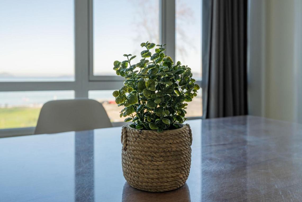 One-Bedroom Apartment - frontal sea views