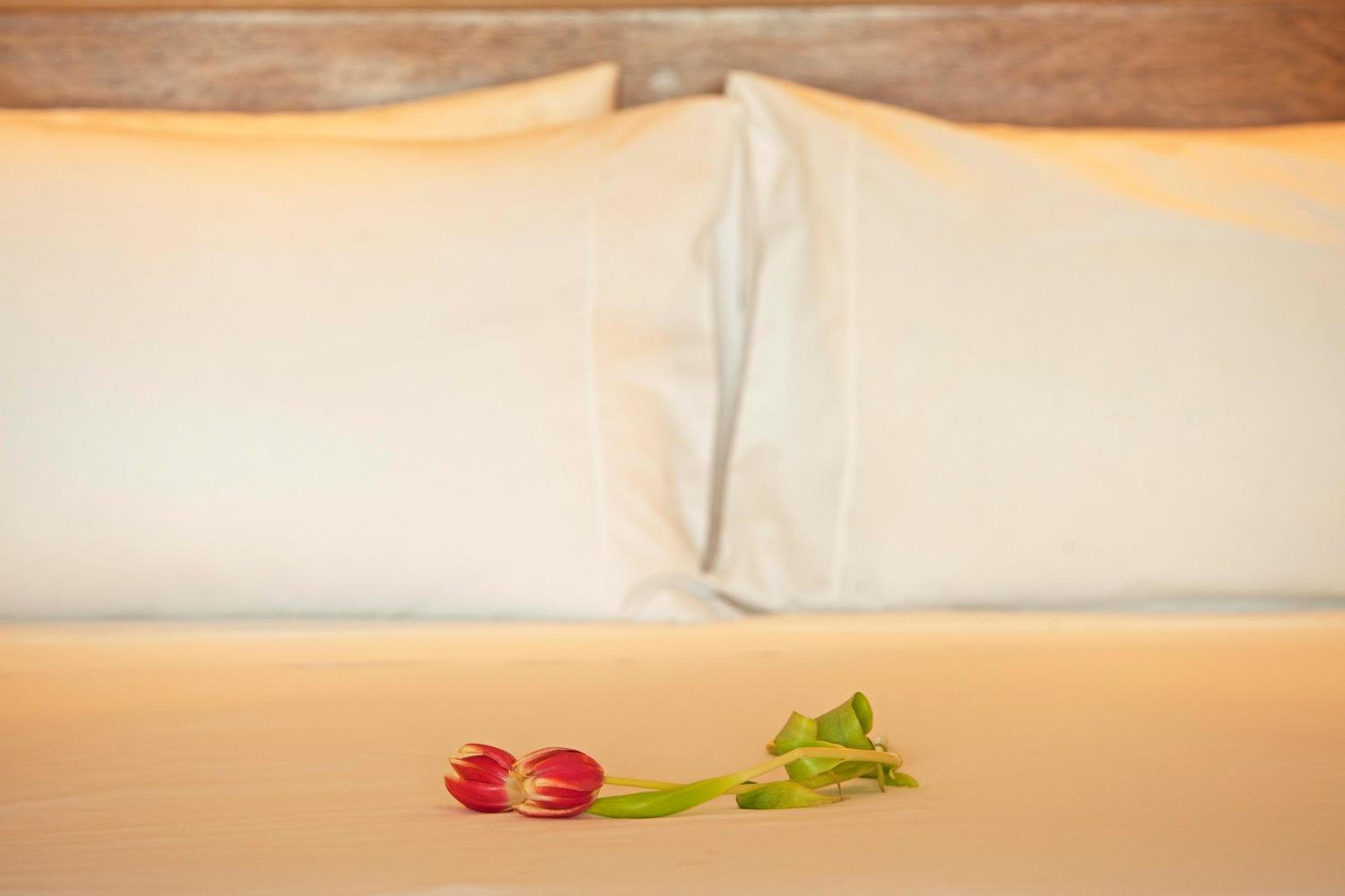 Special Offer - Twin Room with inside view