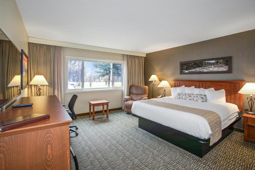 Deluxe King Suite