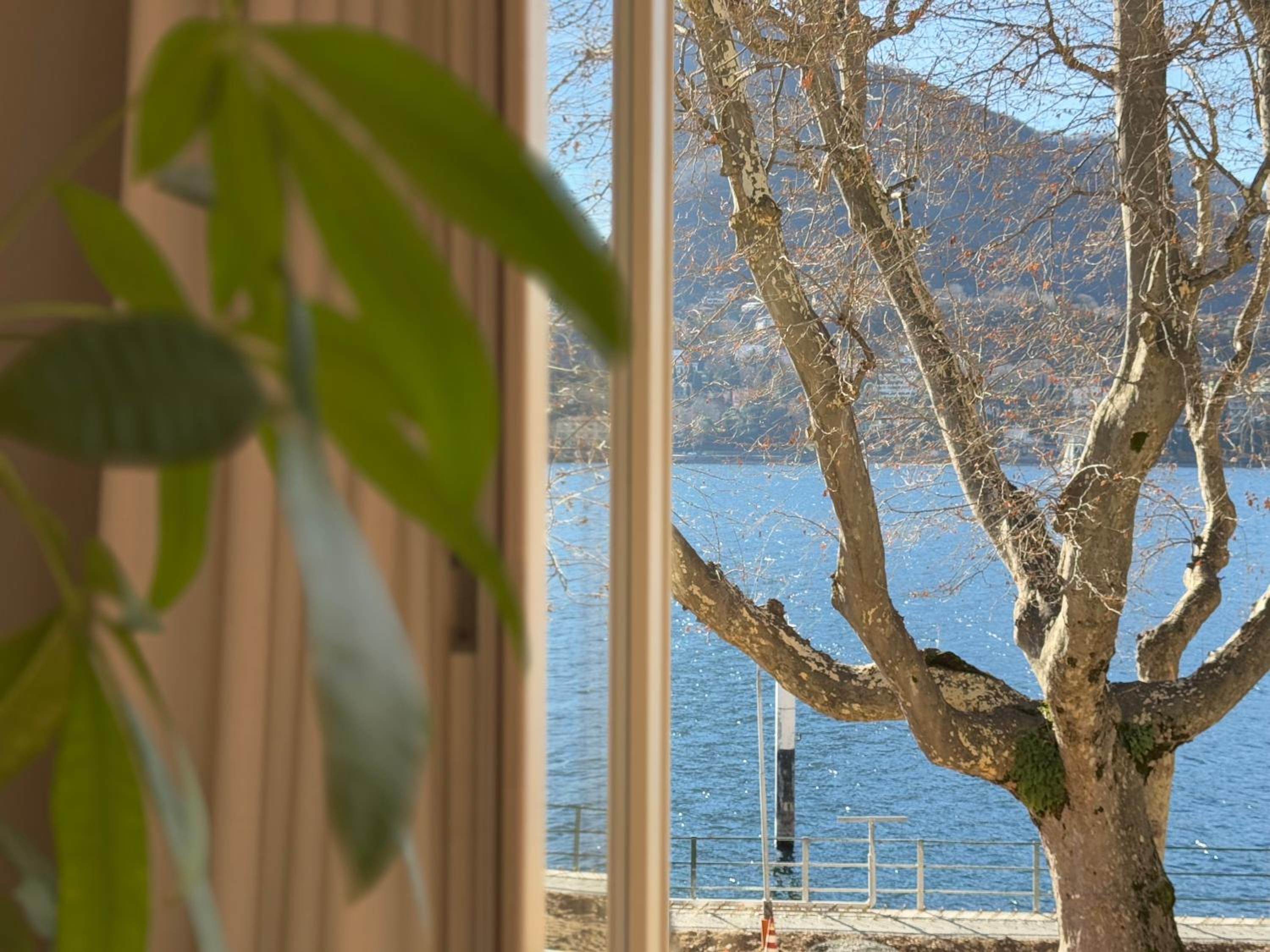 Double Room with Lake View