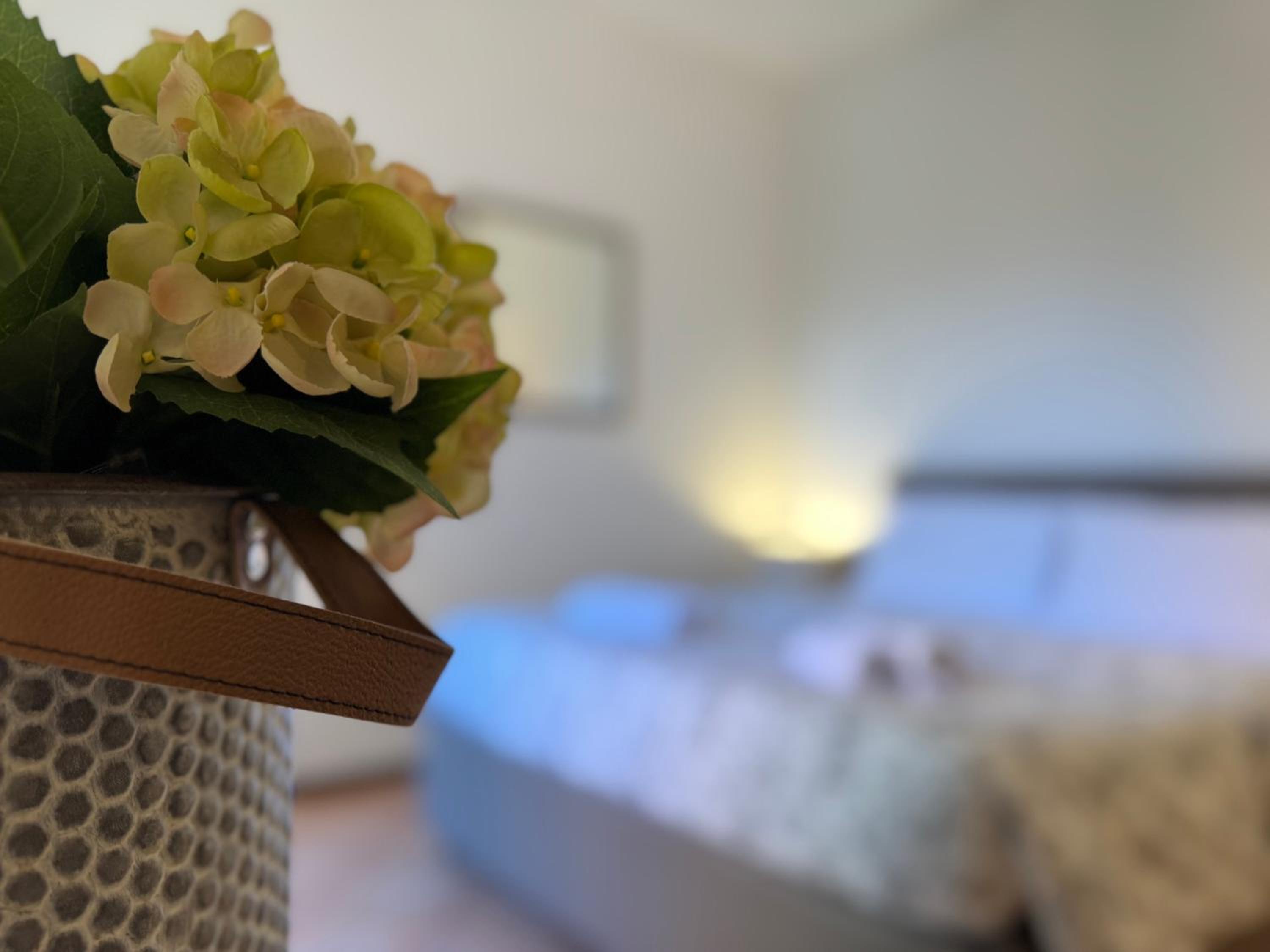 Double Room with Terrace