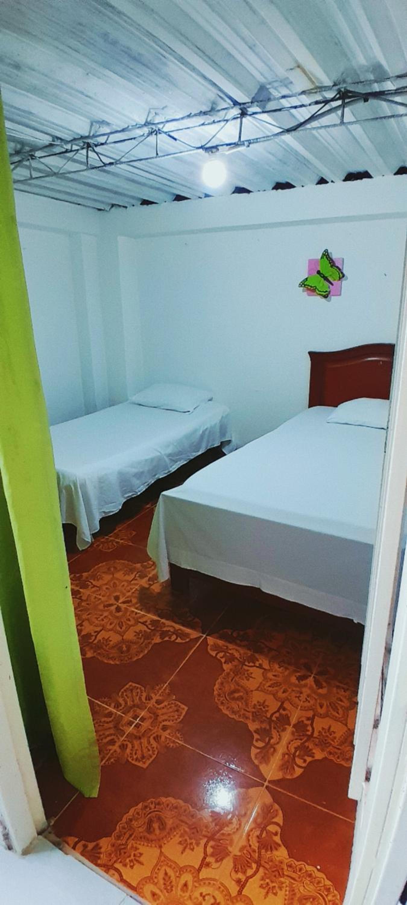 Bunk Bed in Mixed Dormitory Room photo 1