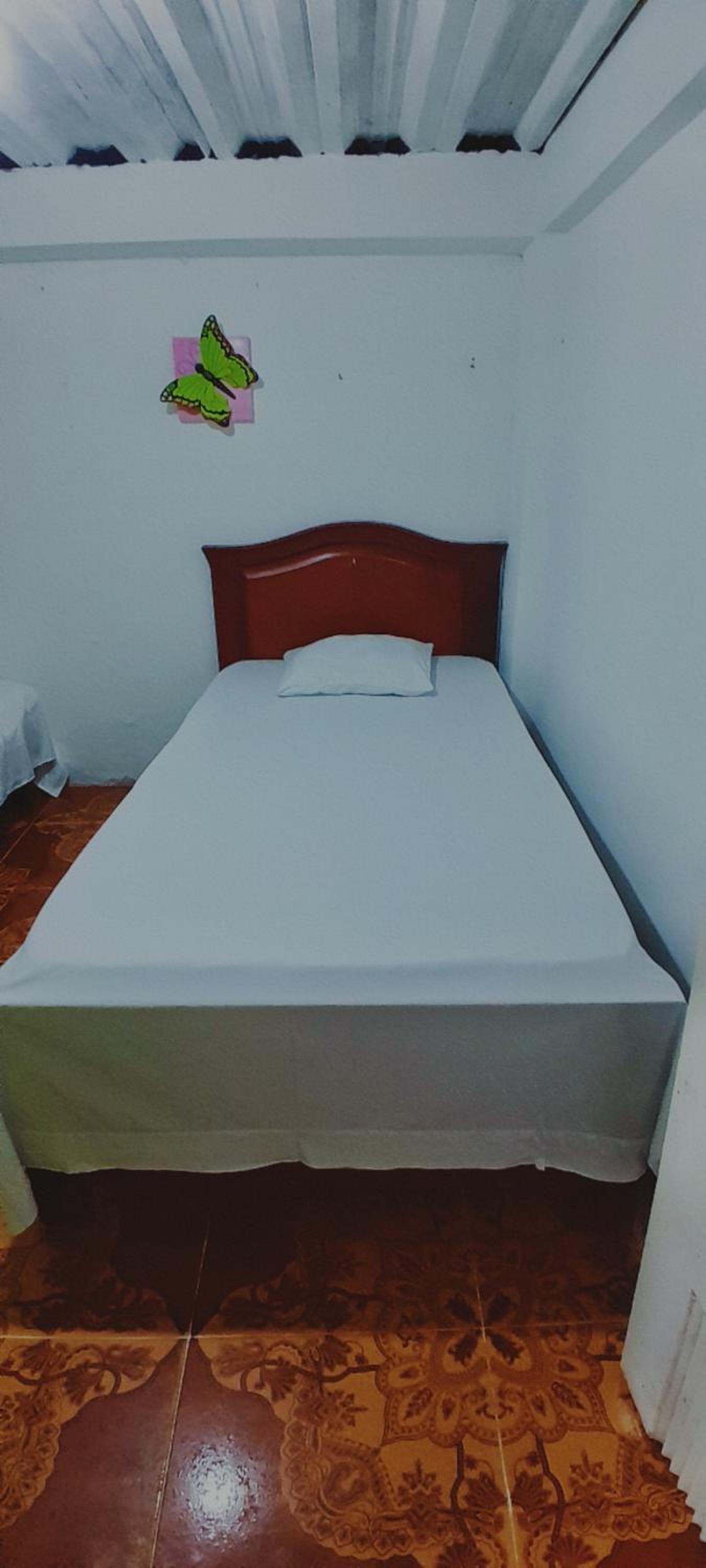 Bunk Bed in Mixed Dormitory Room photo 2
