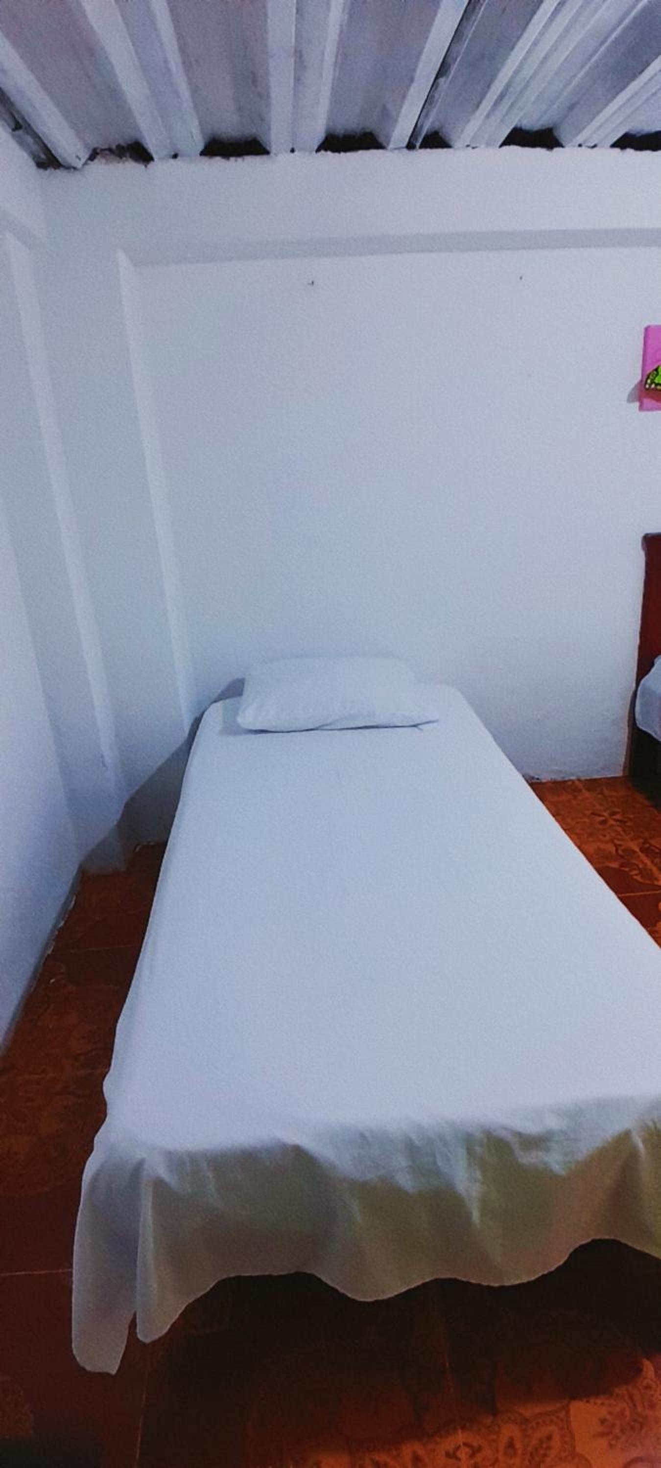 Bunk Bed in Mixed Dormitory Room photo 3