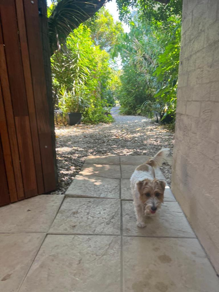 Standard Double Room with Courtyard - Dog Friendly