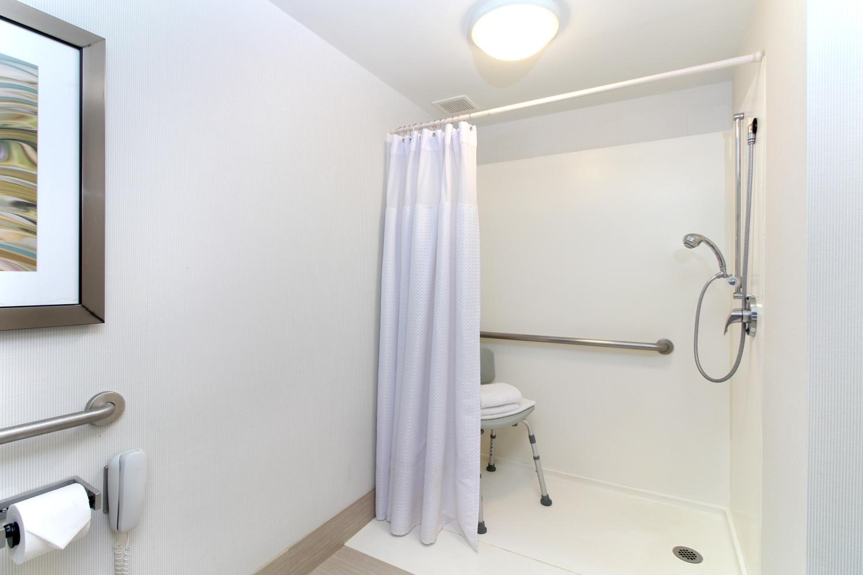 King Room with Sofa Bed and Roll-in Shower - Mobility Accessible - Photo 2