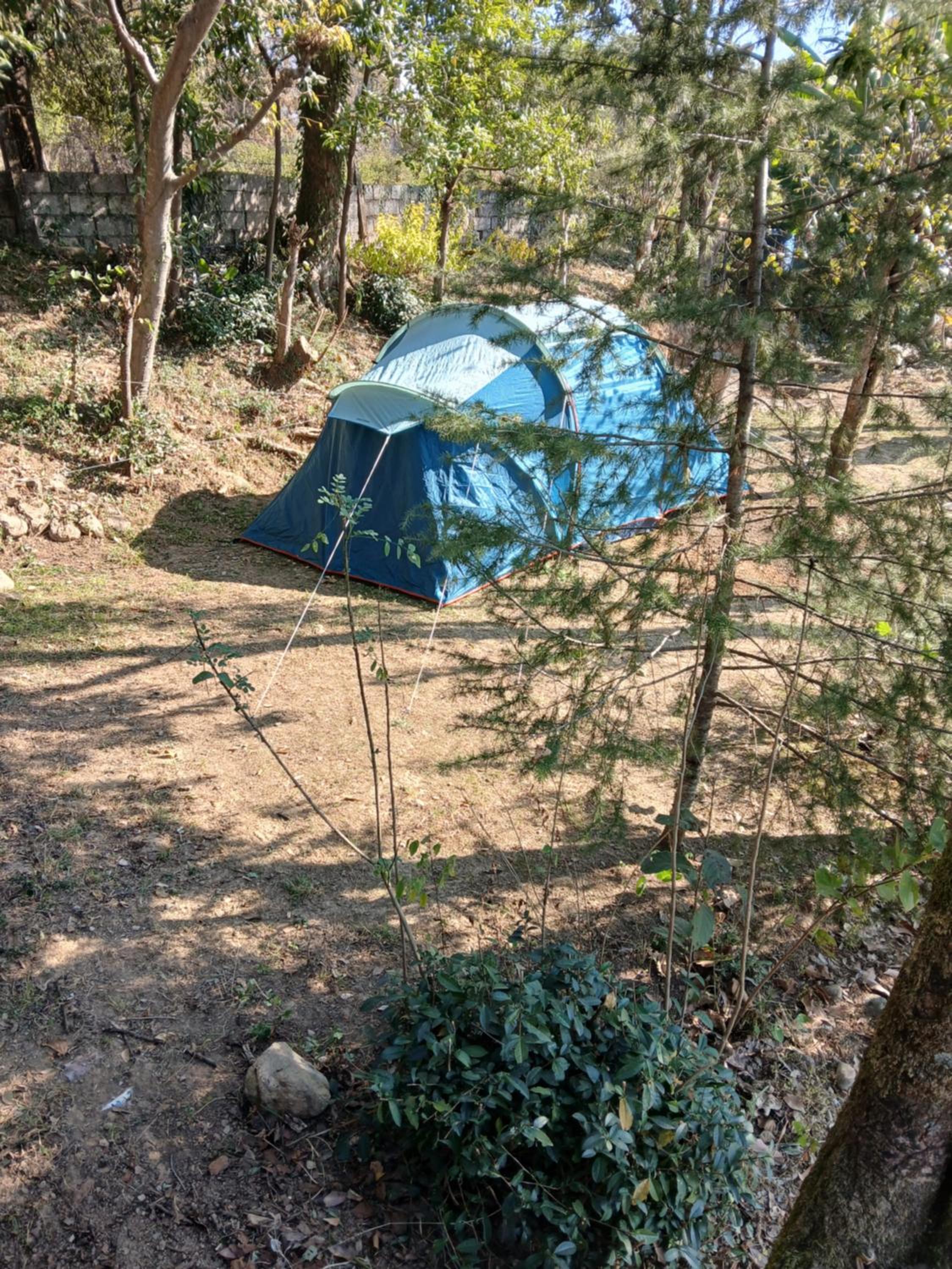 Tent photo 3