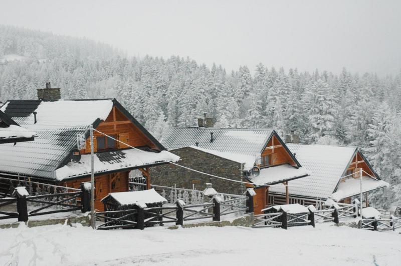 Three-Bedroom Chalet photo 3