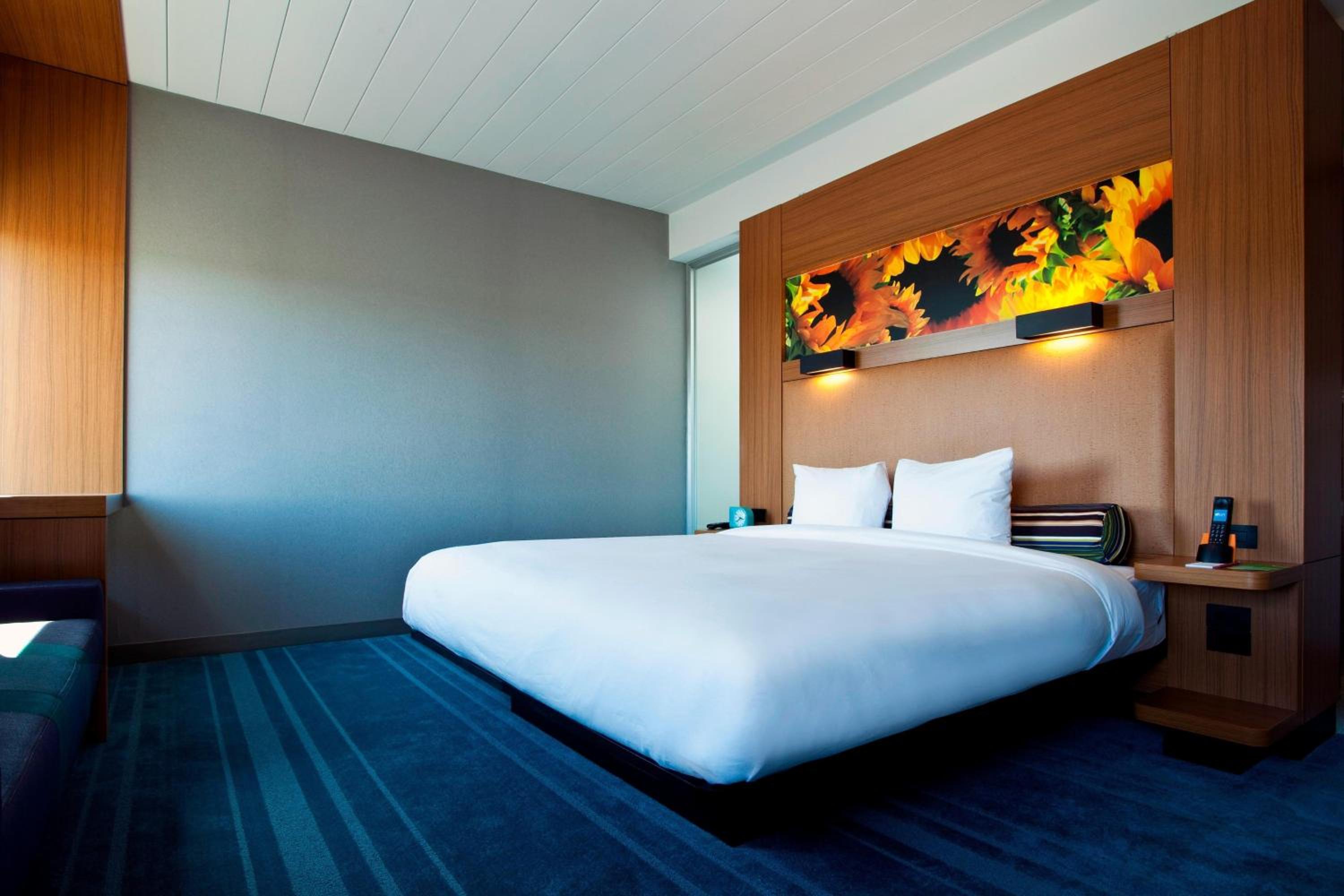 King Room with Roll-in Shower - Mobility Accessible - Photo 1