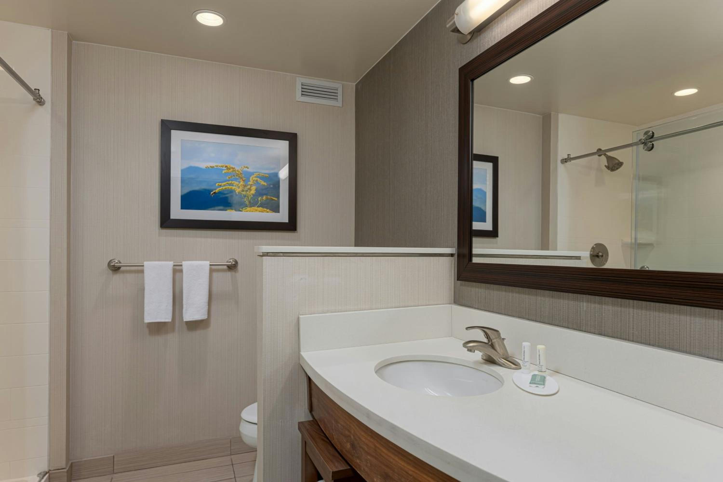 Courtyard by Marriott Asheville Airport, Photo 4