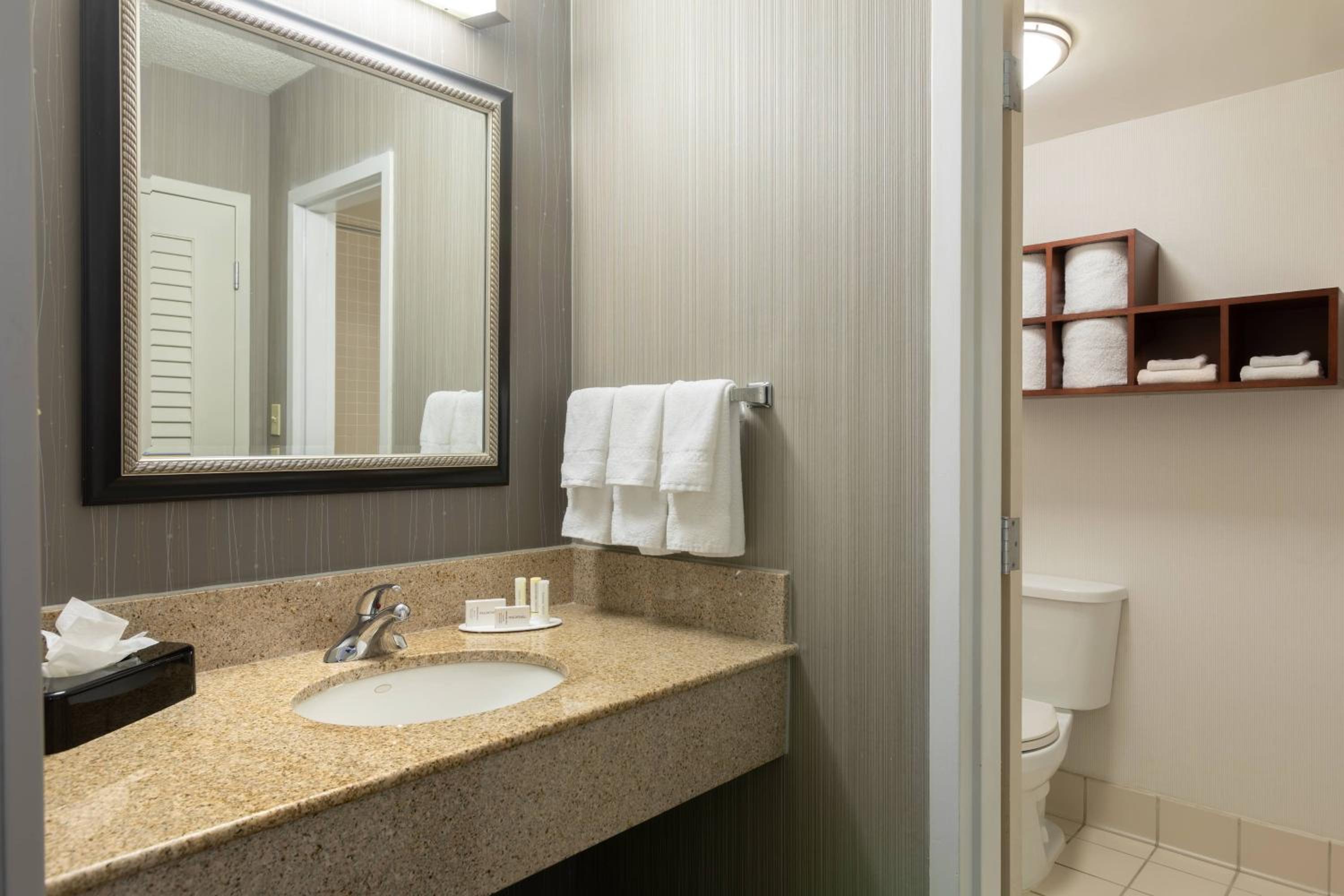 One-Bedroom King Suite with Sofa Bed and Adapted Tub - Mobility and Hearing Accessible