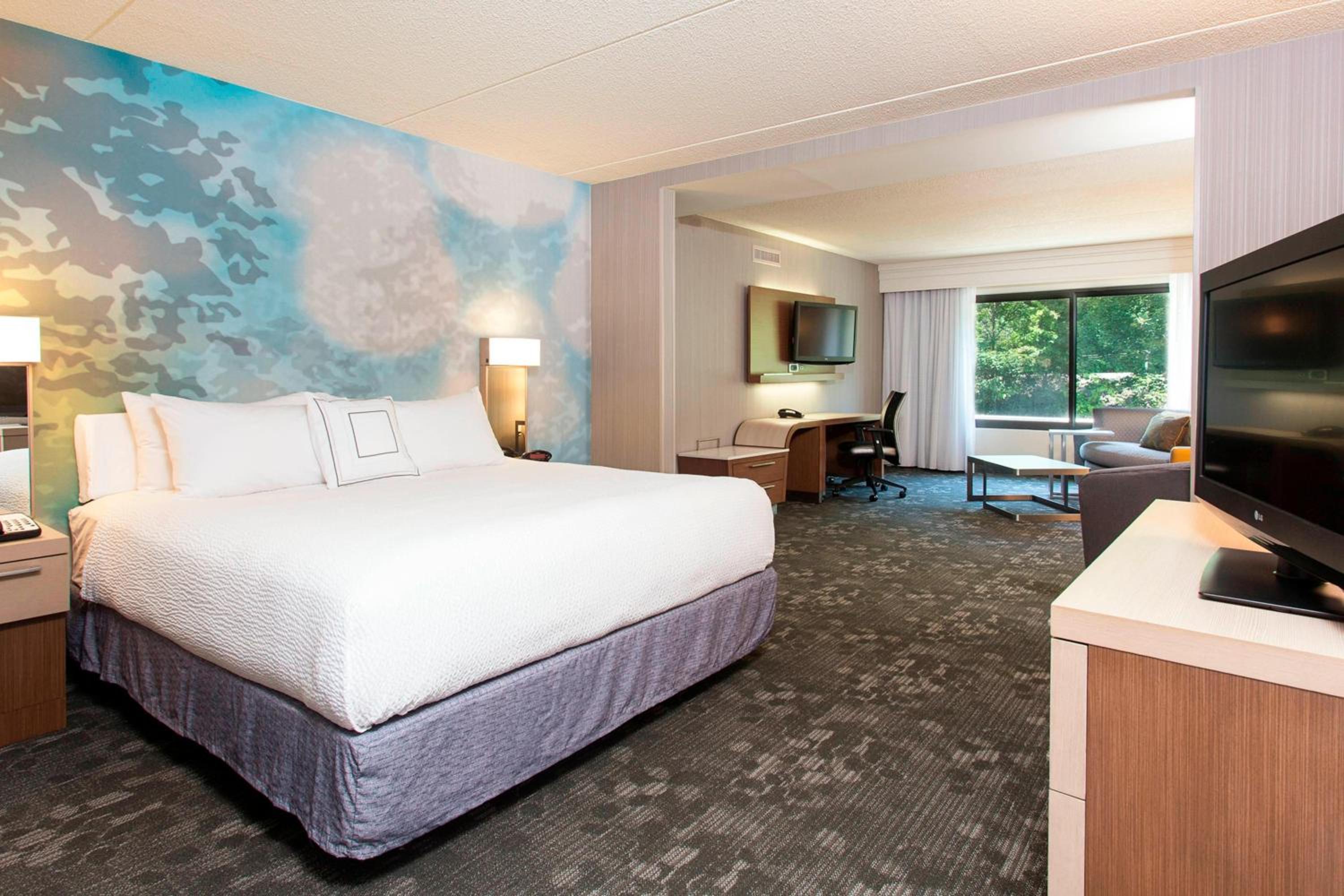 King Suite with Sofa Bed - Photo 4