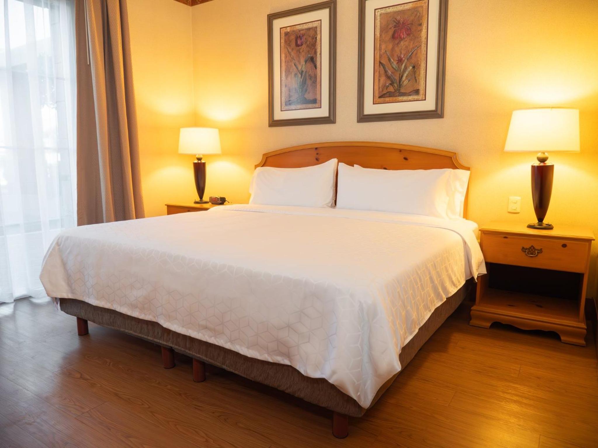 King Suite - Photo 5