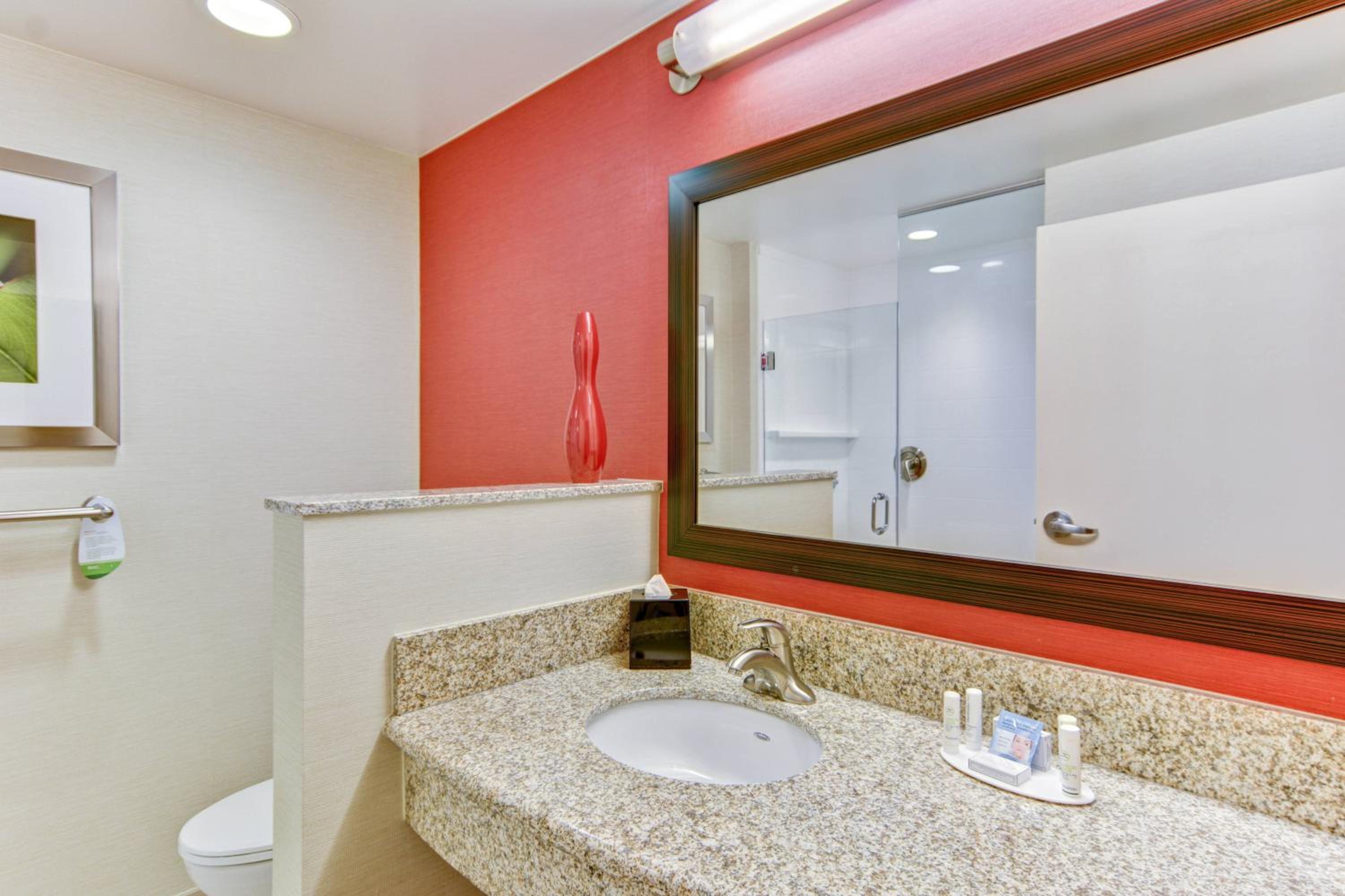 King Room with Bathtub and Sofa Bed - Mobility Access/Hearing Accessible