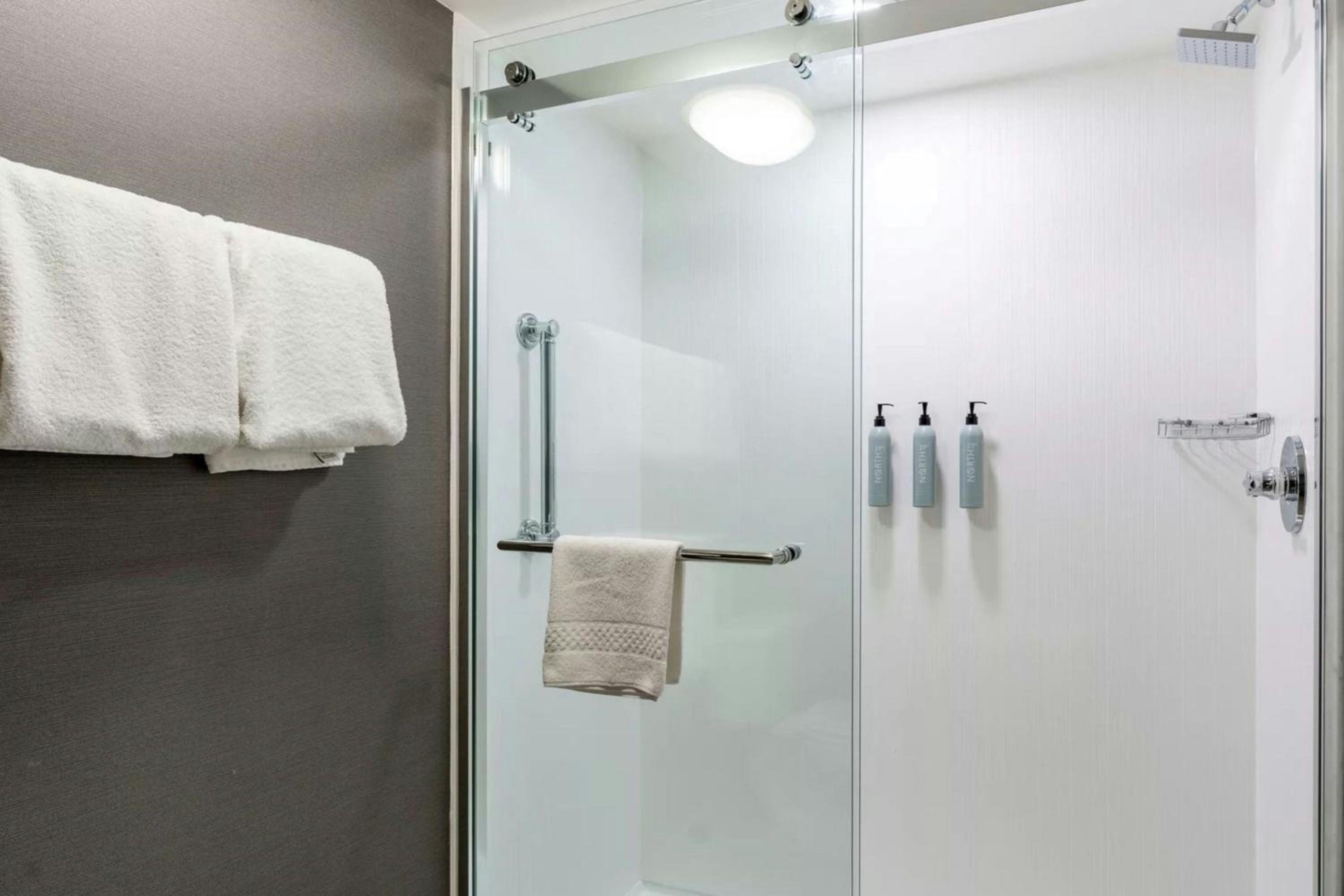 King Room with Roll-In Shower - Mobility Accessible - Photo 8