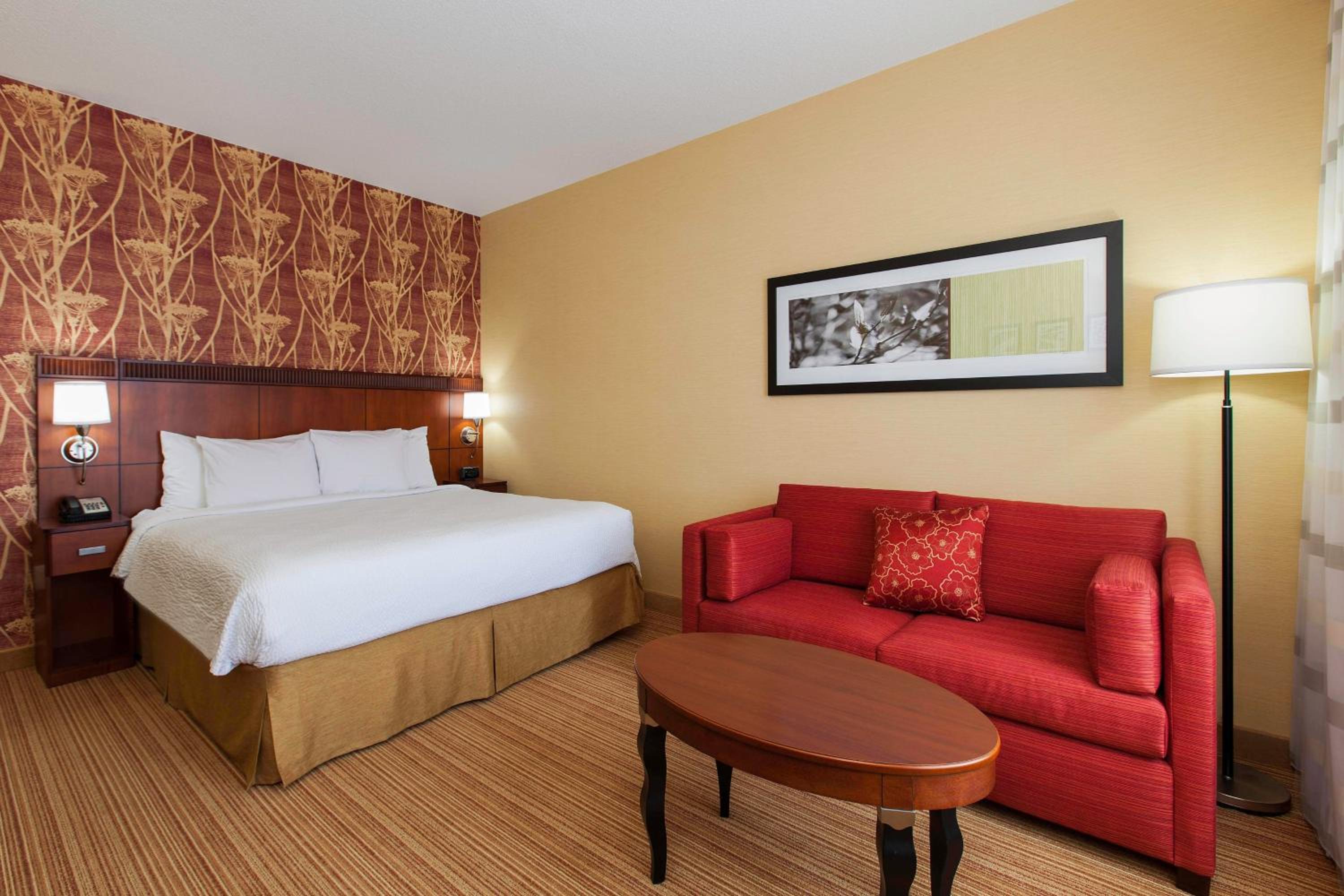 Suite, 1 King, Sofa bed (Mobility and Hearing Accessible w/Tub) - Photo 1