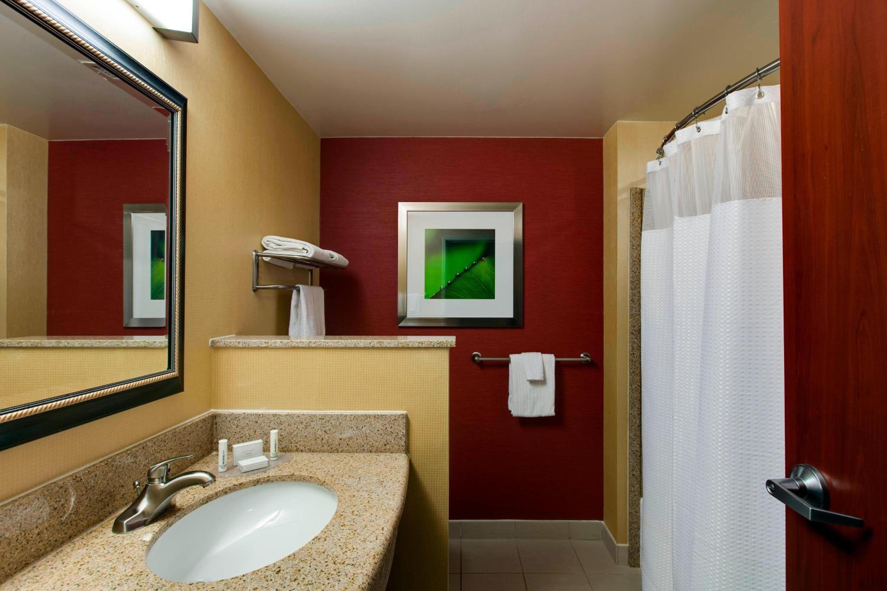 Suite, 1 King, Sofa bed (Mobility and Hearing Accessible w/Tub) - Photo 3