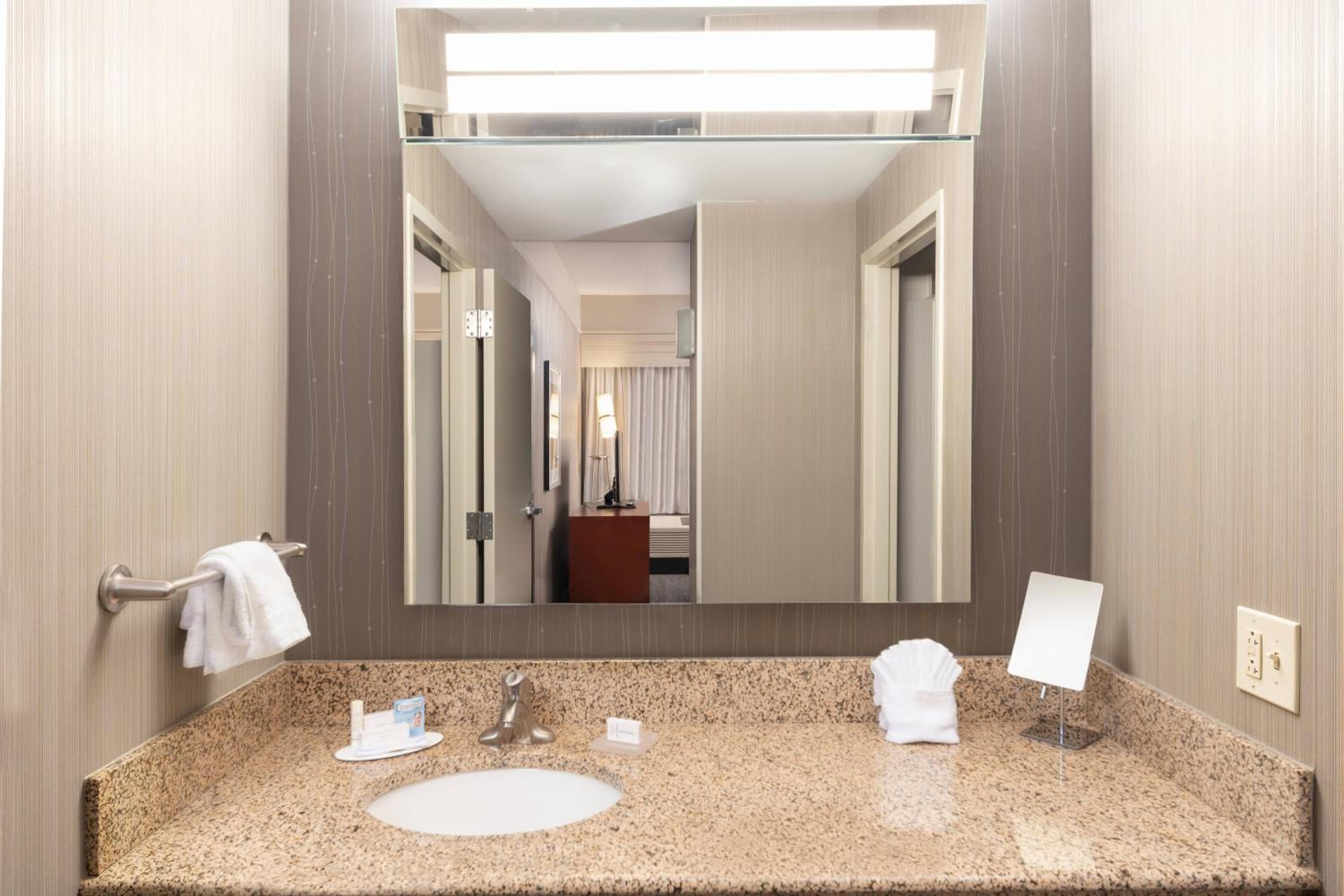 Junior King Suite with Transfer Shower, Roll-In Shower and Sofa Bed - Mobility Access/Hearing Accessible - Photo 6