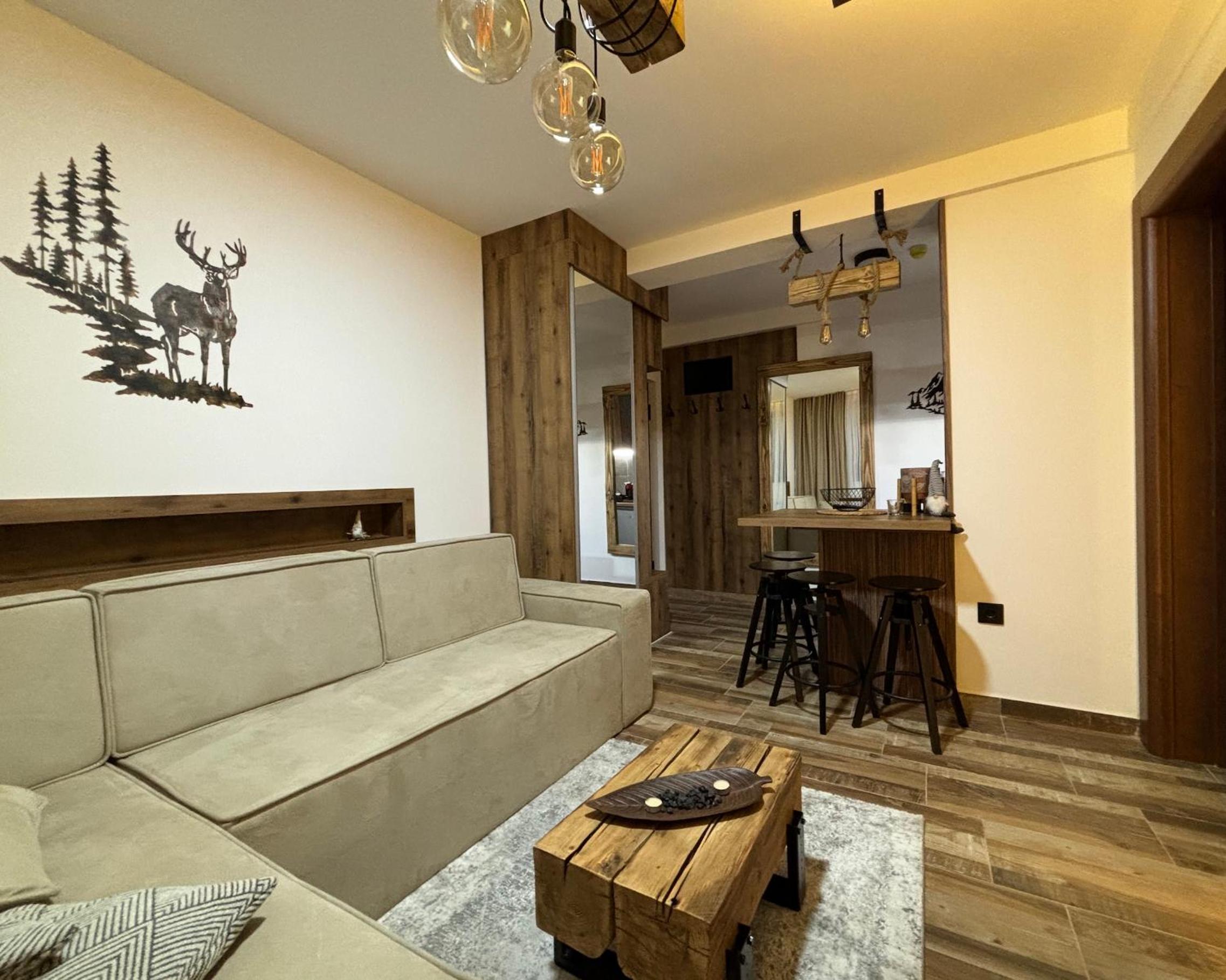 Deluxe One-Bedroom Apartment