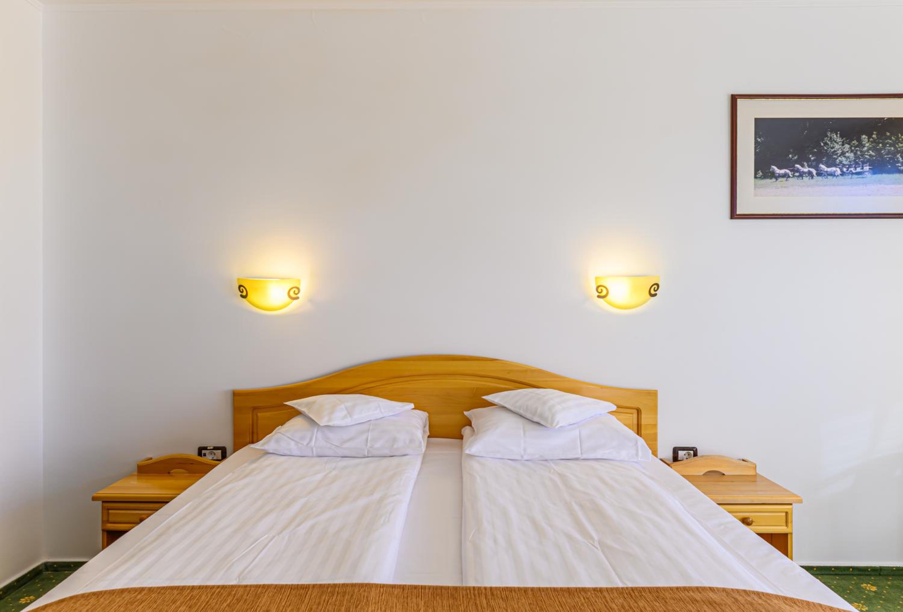 Superior Double Room with New Year Package photo 2