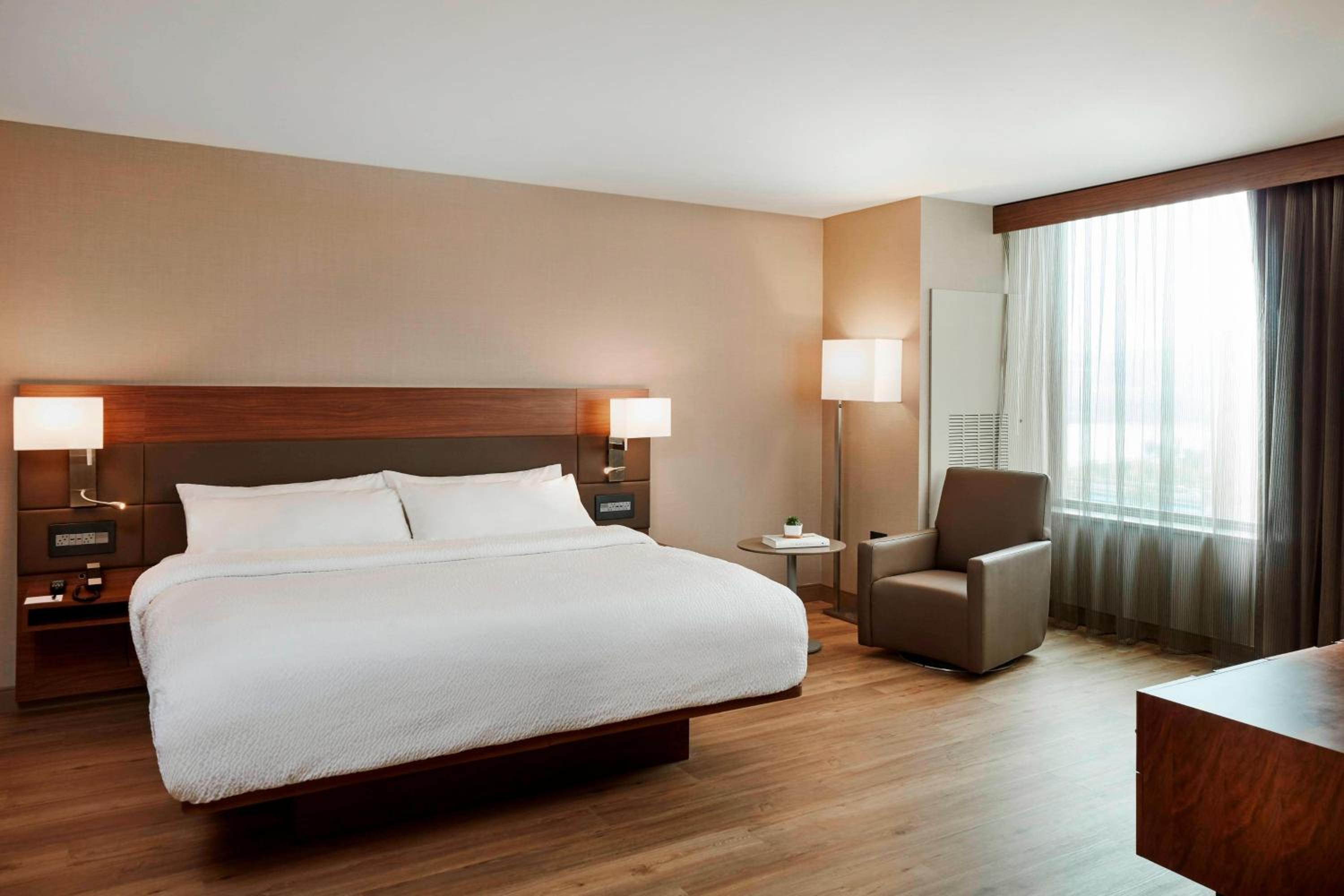 One-Bedroom King Suite