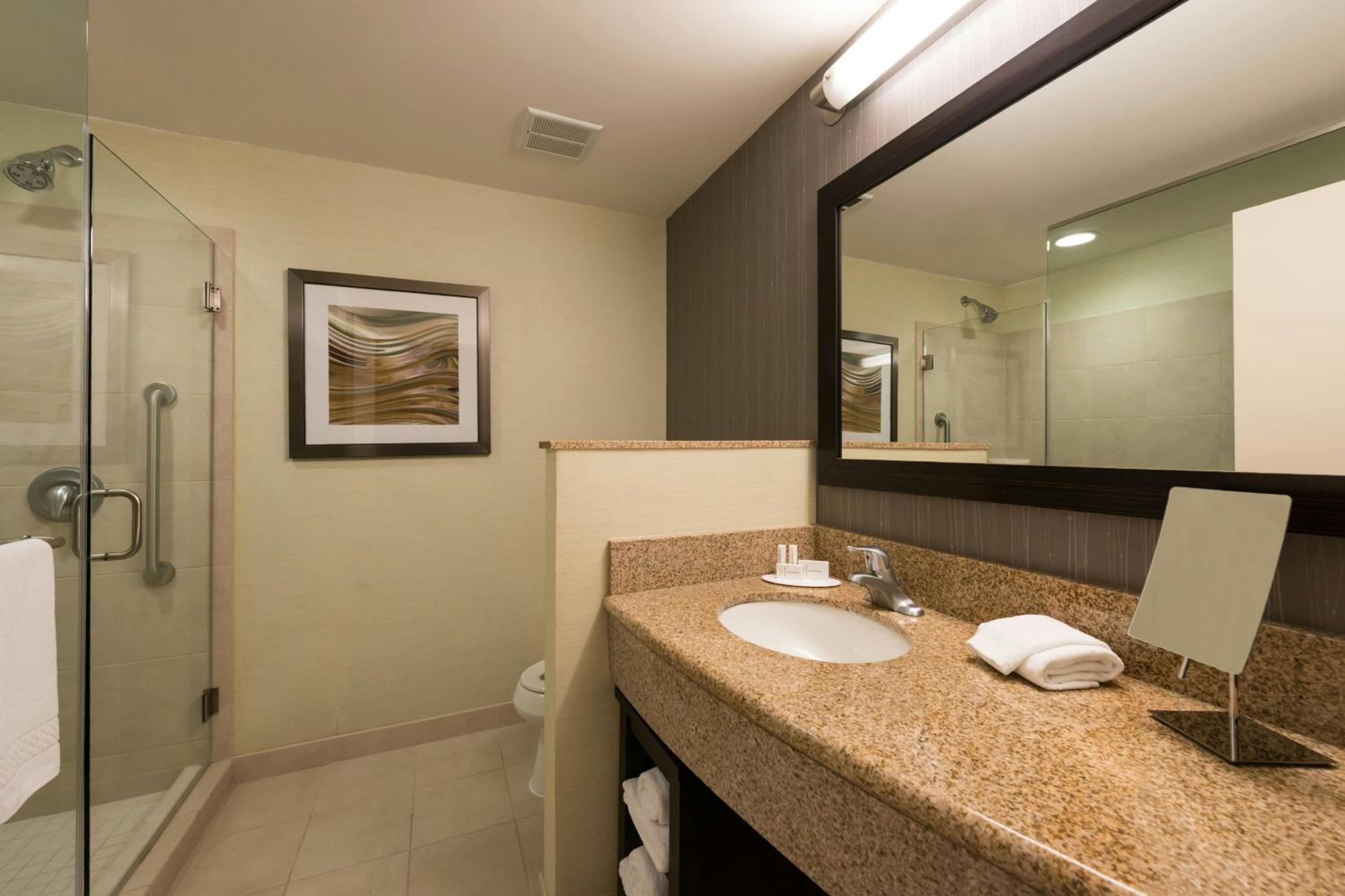 One-Bedroom King Suite with Bathtub and Sofa Bed - Mobility Access/Hearing Accessible - Photo 5