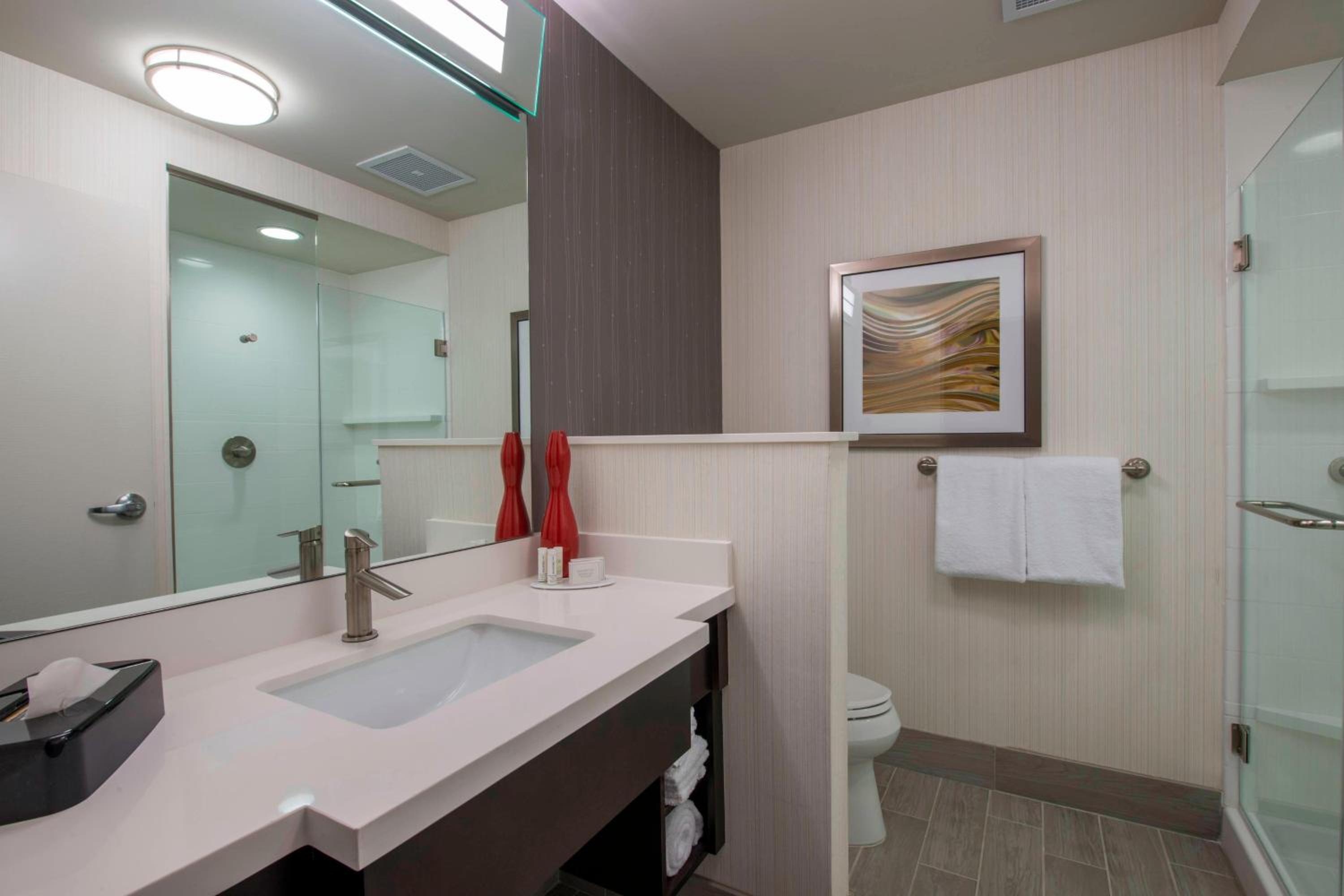 King Room - Mobility Access/Roll-In Shower/Bathtub photo 2