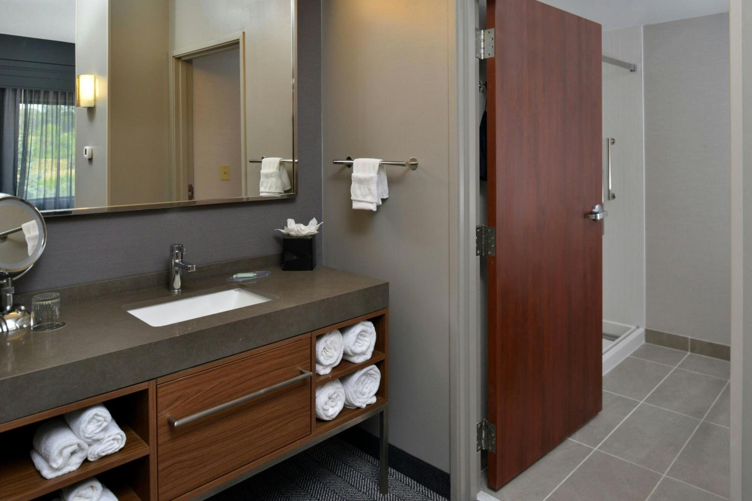 King Suite with Bathtub and Sofa Bed - Mobility Access/Hearing Accessible - Photo 2