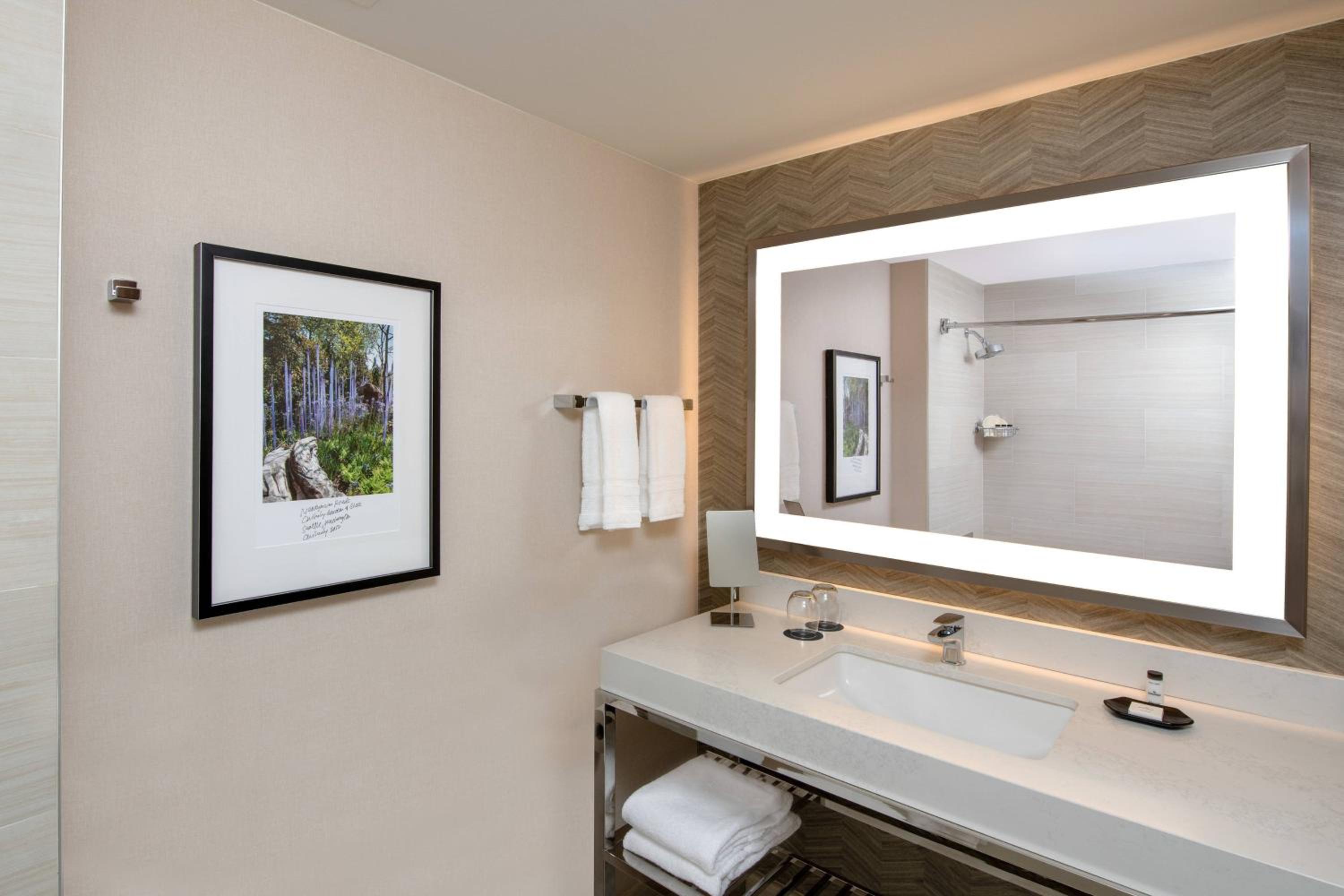 King Room with Adapted Tub - Mobility and Hearing Accessible - Photo 6