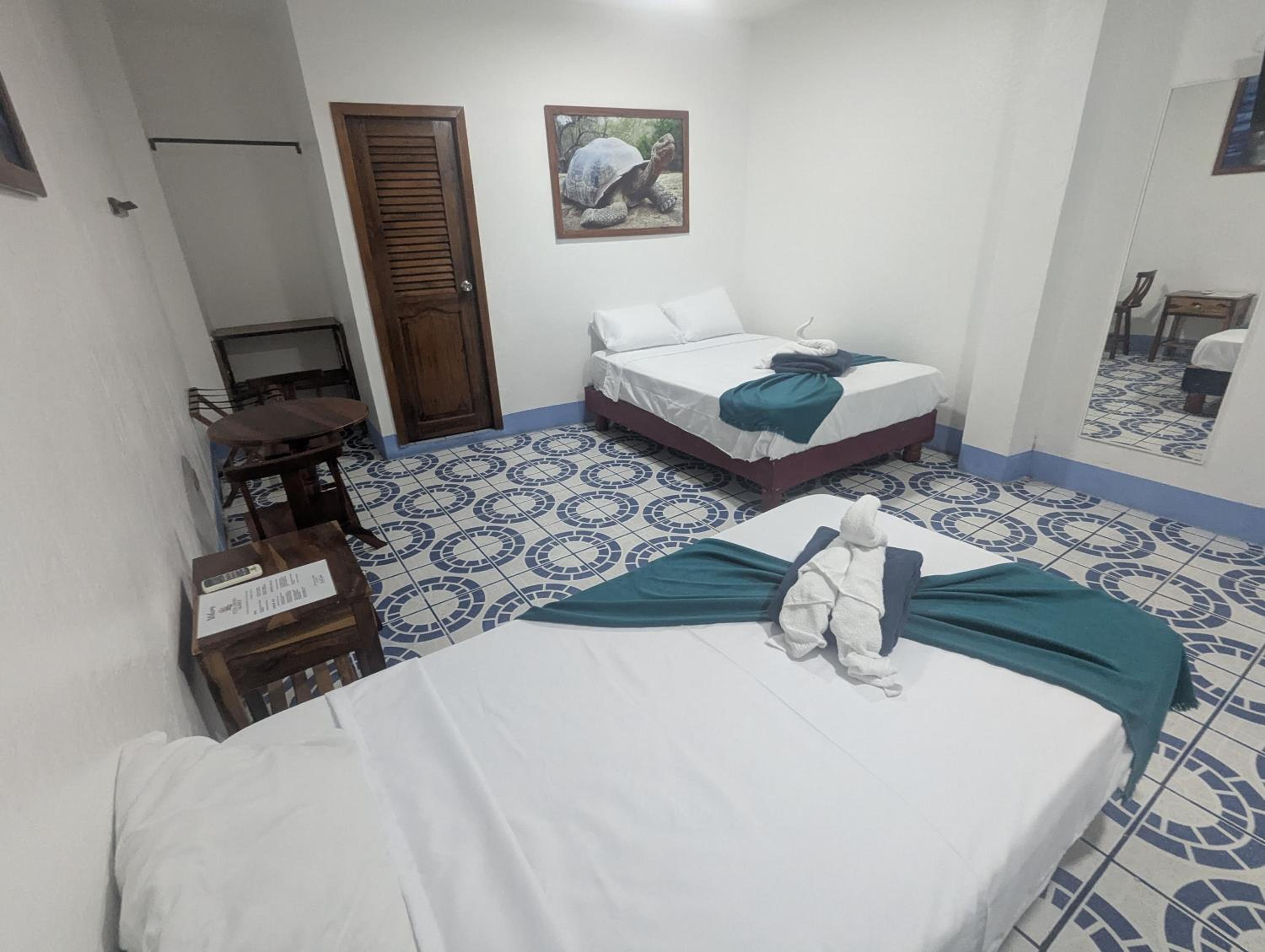 Twin Room photo 2