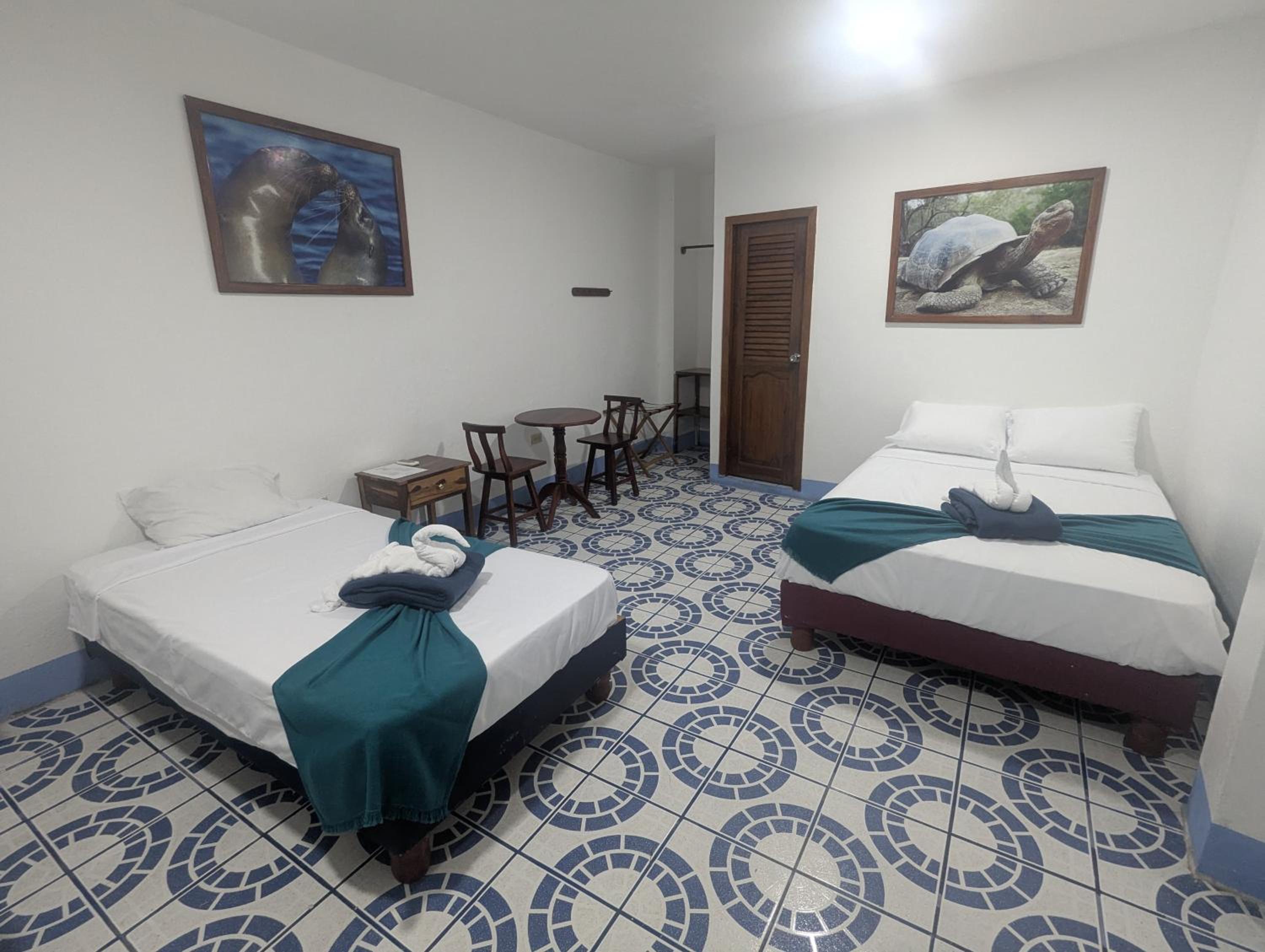 Twin Room photo 1