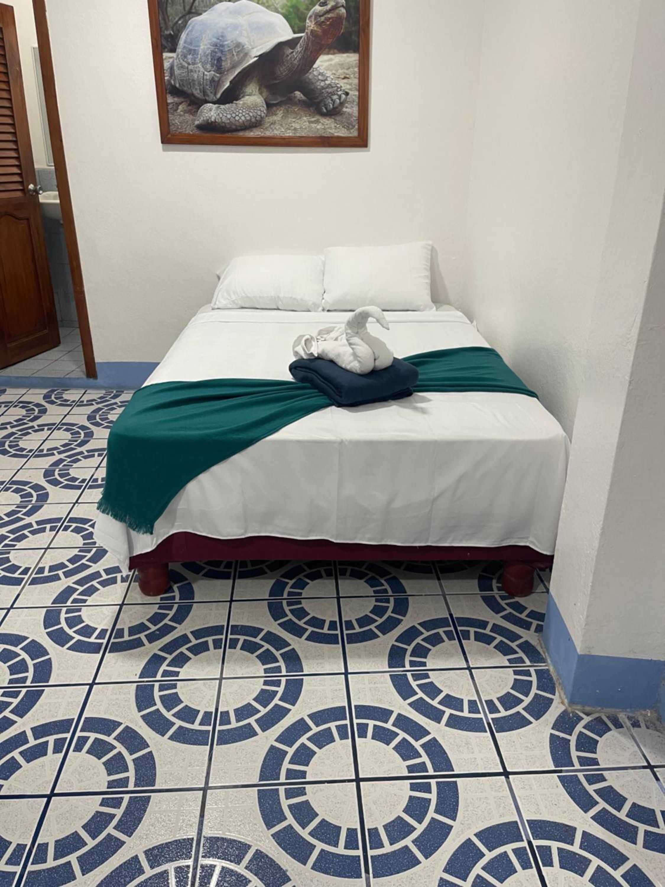 Twin Room photo 3