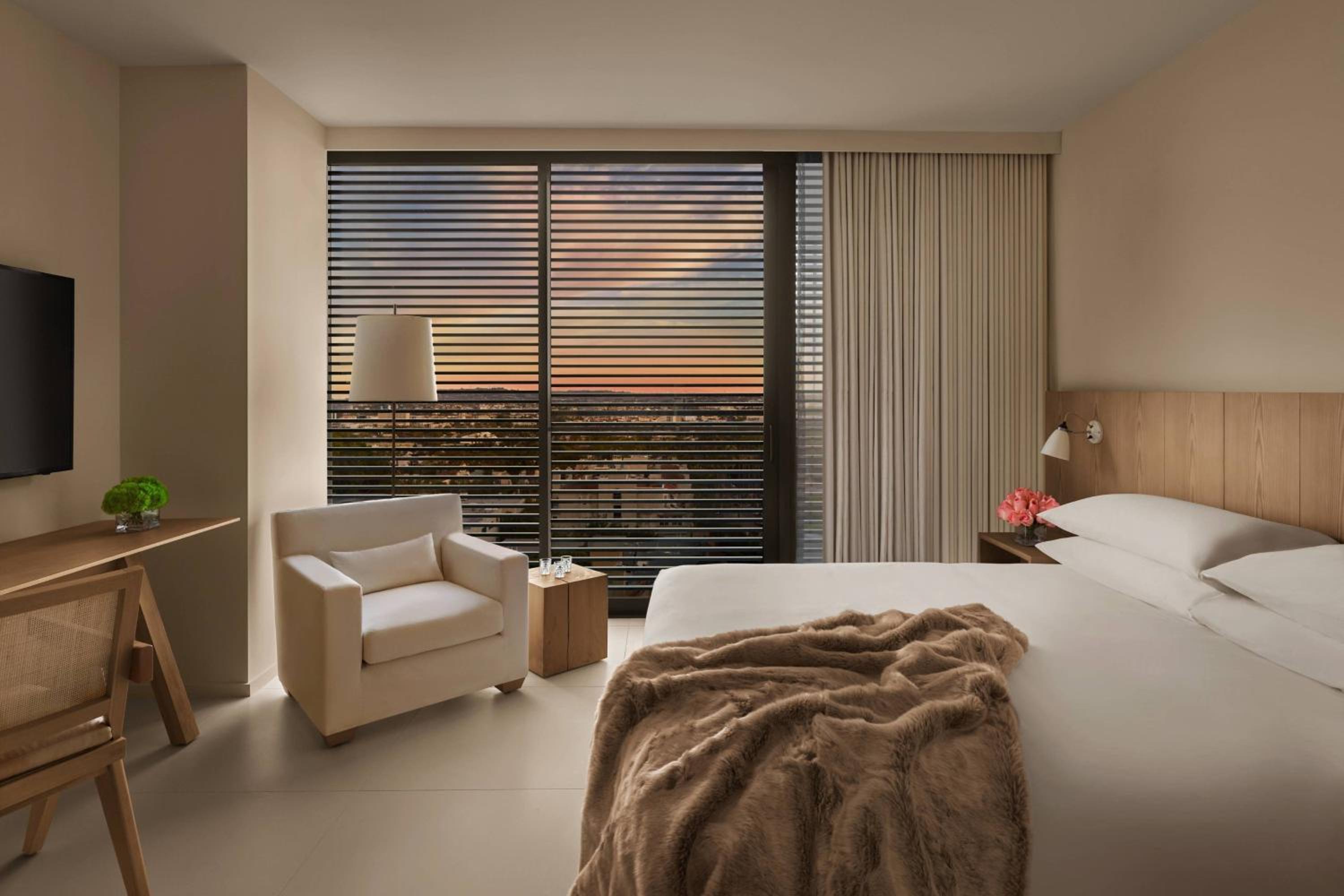 Superior One-Bedroom King Suite with Sofa Bed - Mobility Accessible with Roll-In Shower
