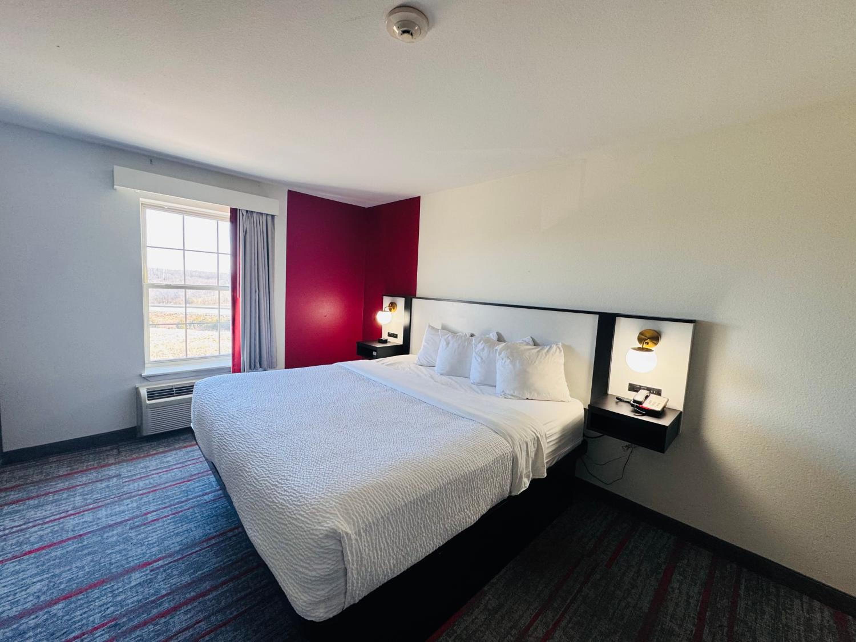 Suite - Photo 4